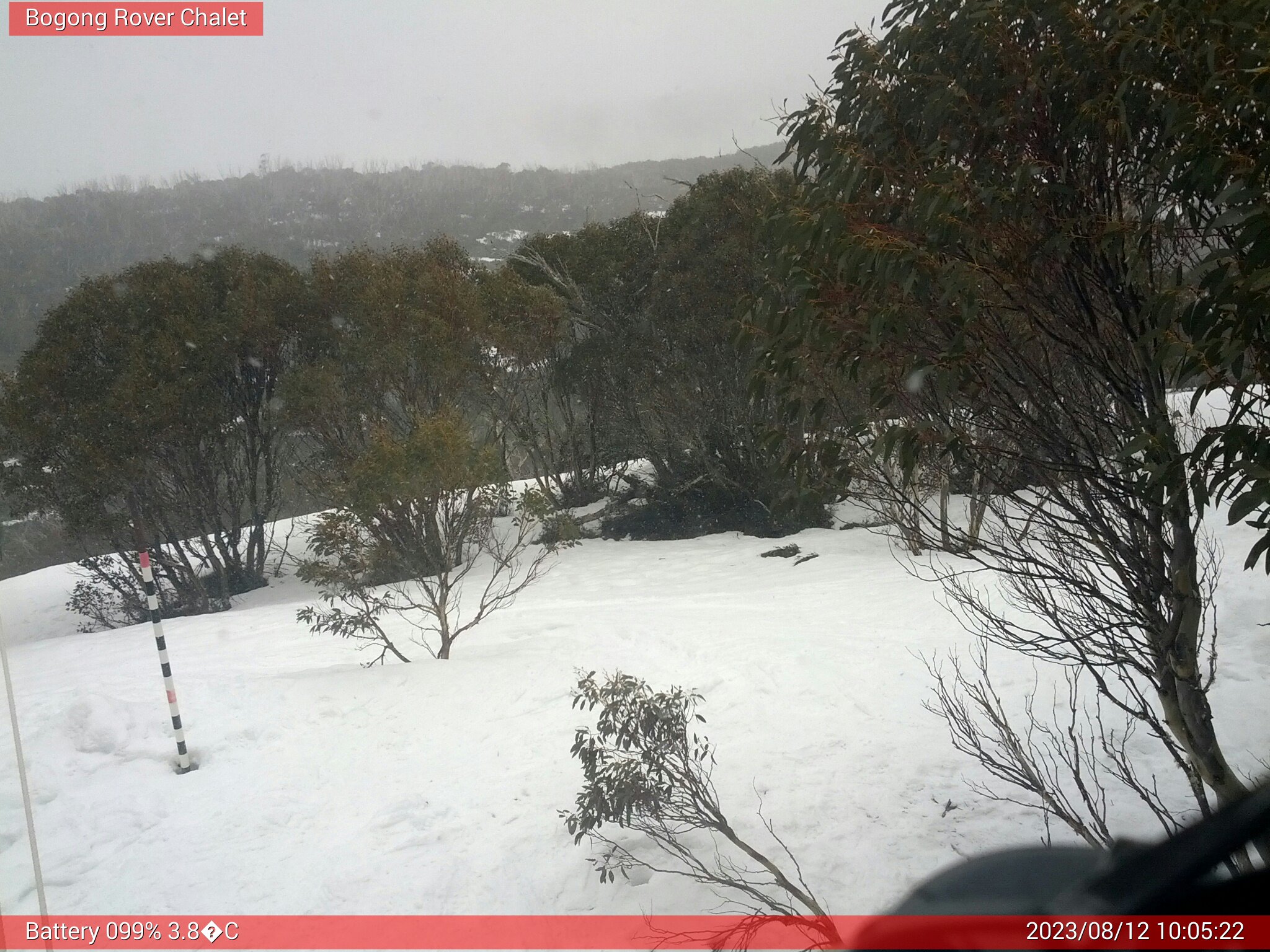 Bogong Web Cam 10:05am Saturday 12th of August 2023