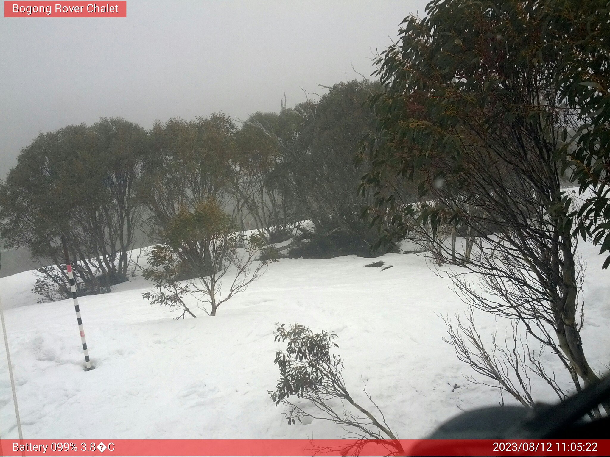 Bogong Web Cam 11:05am Saturday 12th of August 2023