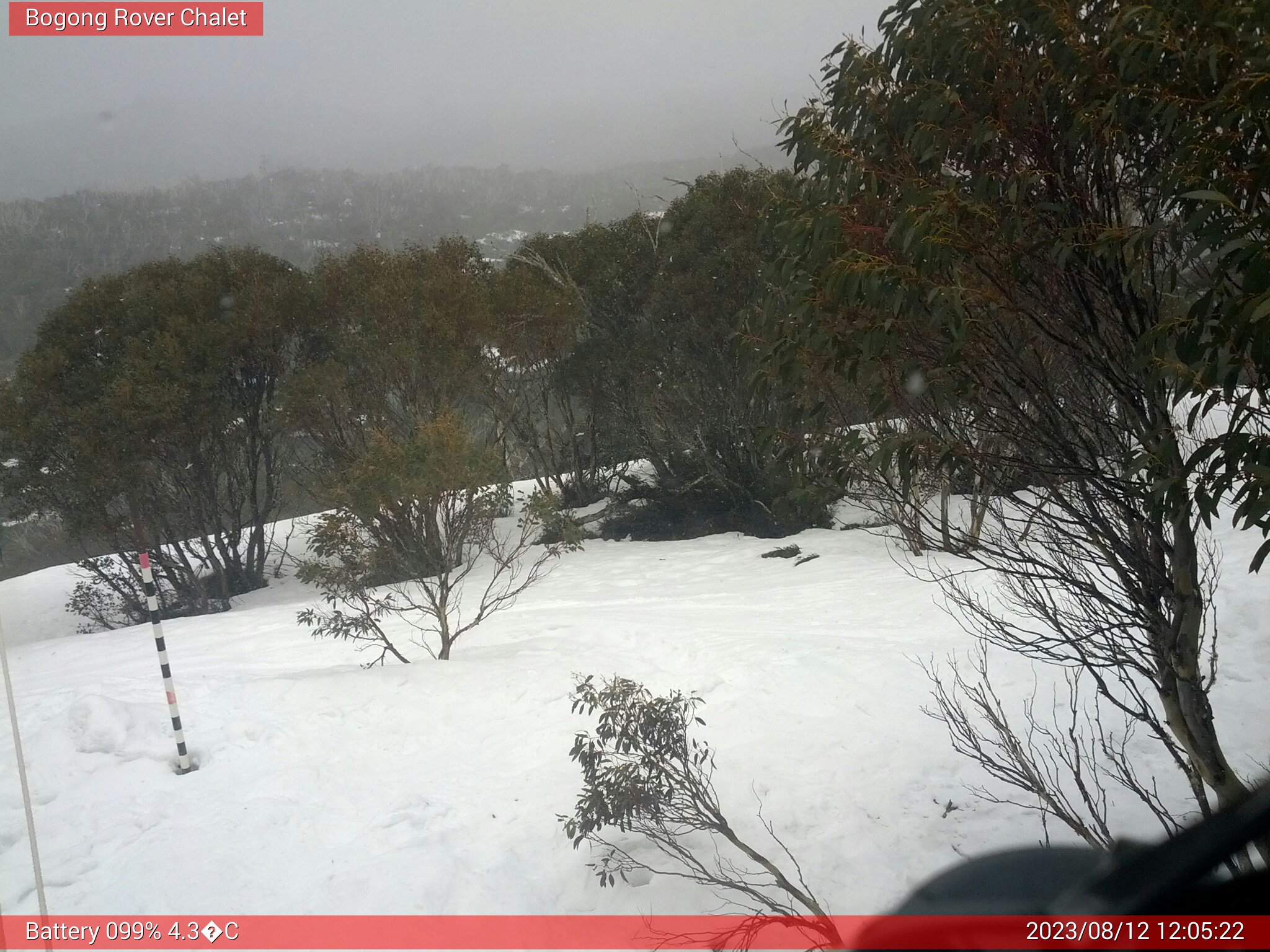 Bogong Web Cam 12:05pm Saturday 12th of August 2023