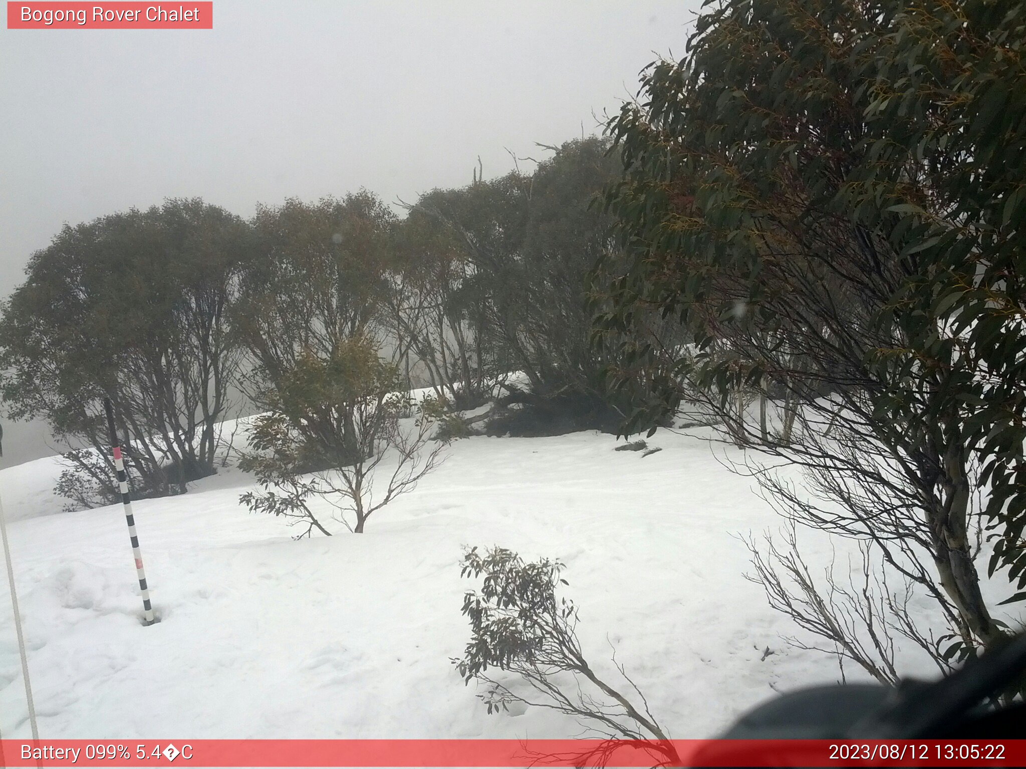 Bogong Web Cam 1:05pm Saturday 12th of August 2023