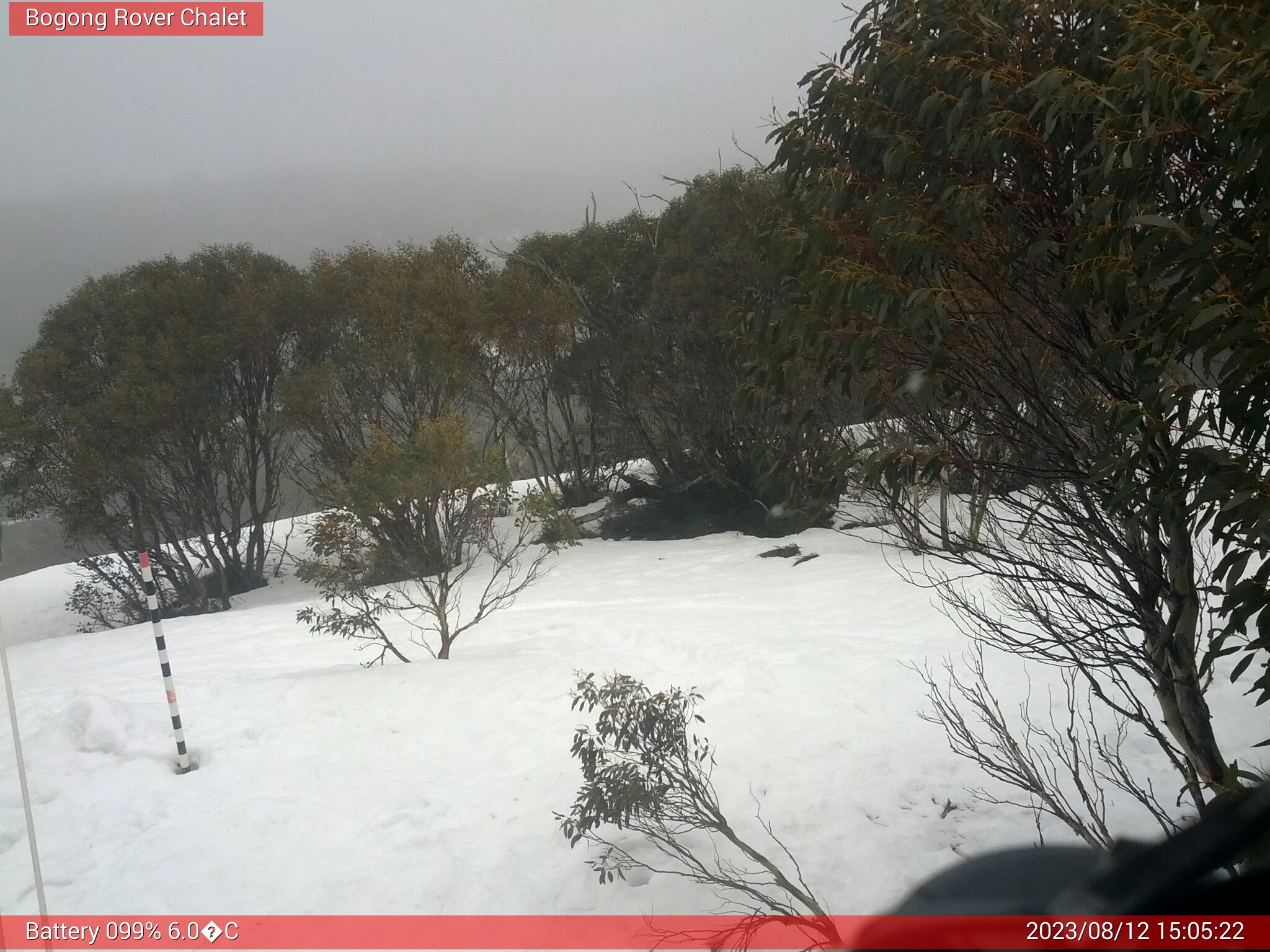 Bogong Web Cam 3:05pm Saturday 12th of August 2023