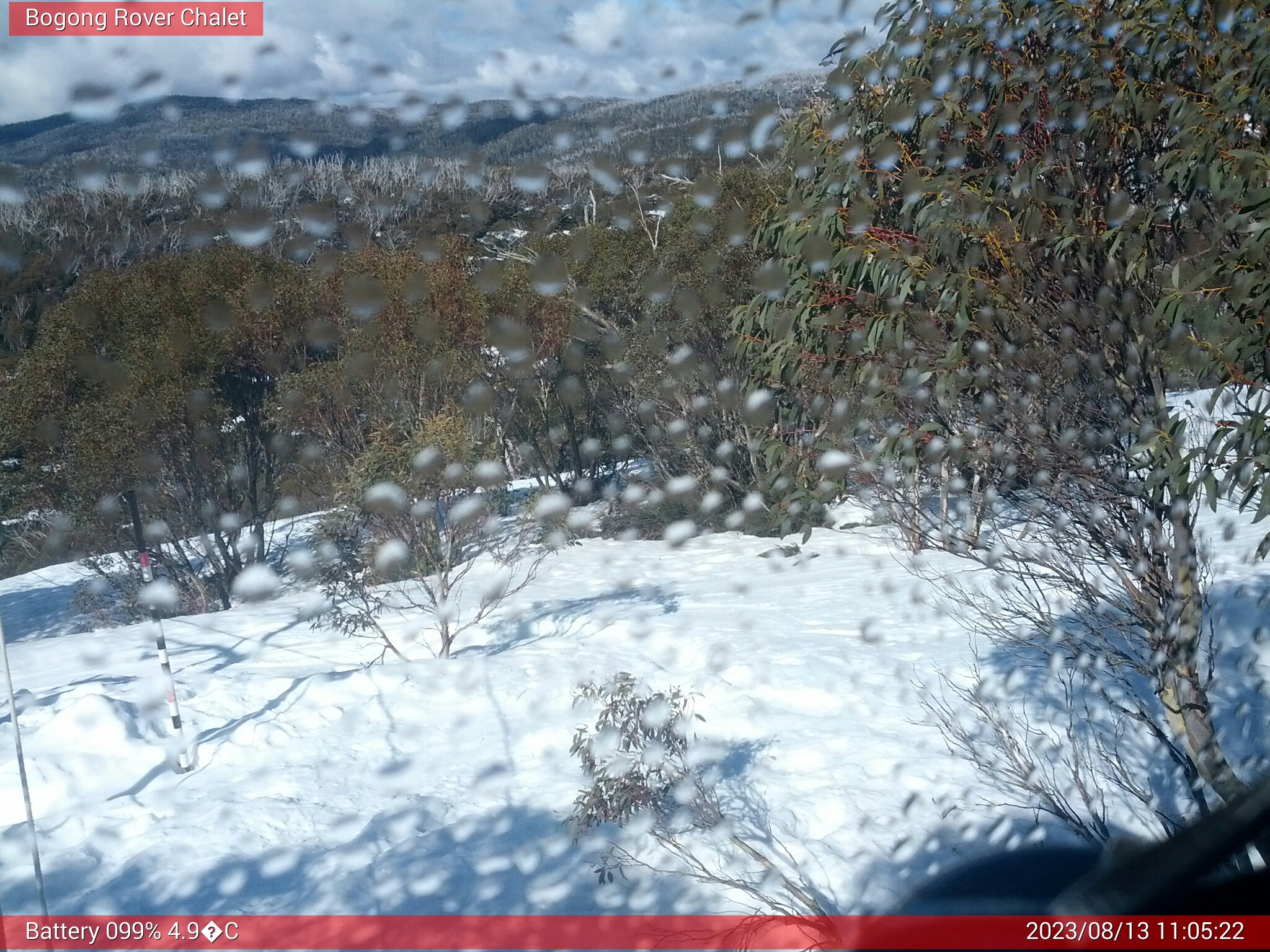 Bogong Web Cam 11:05am Sunday 13th of August 2023