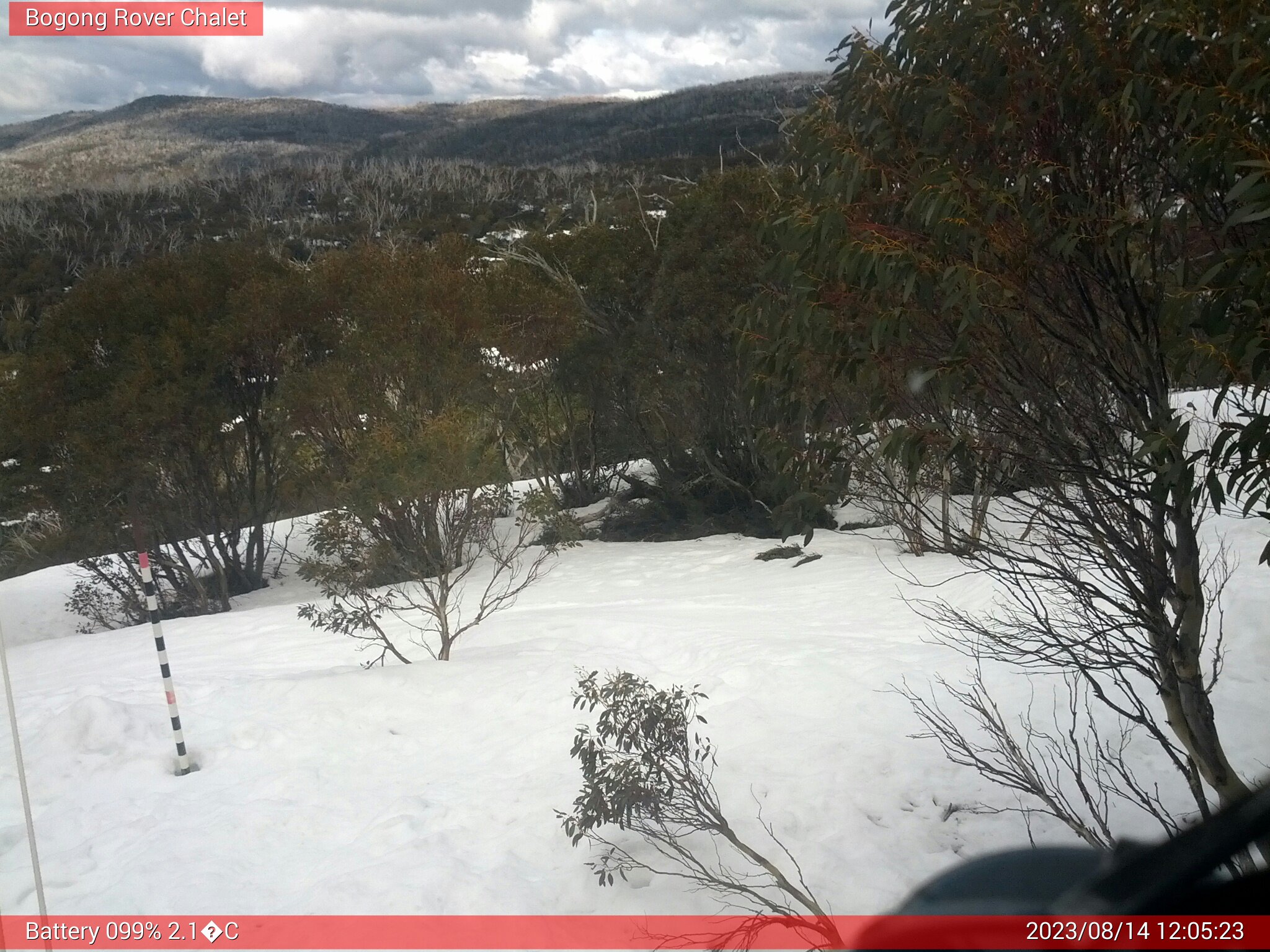 Bogong Web Cam 12:05pm Monday 14th of August 2023