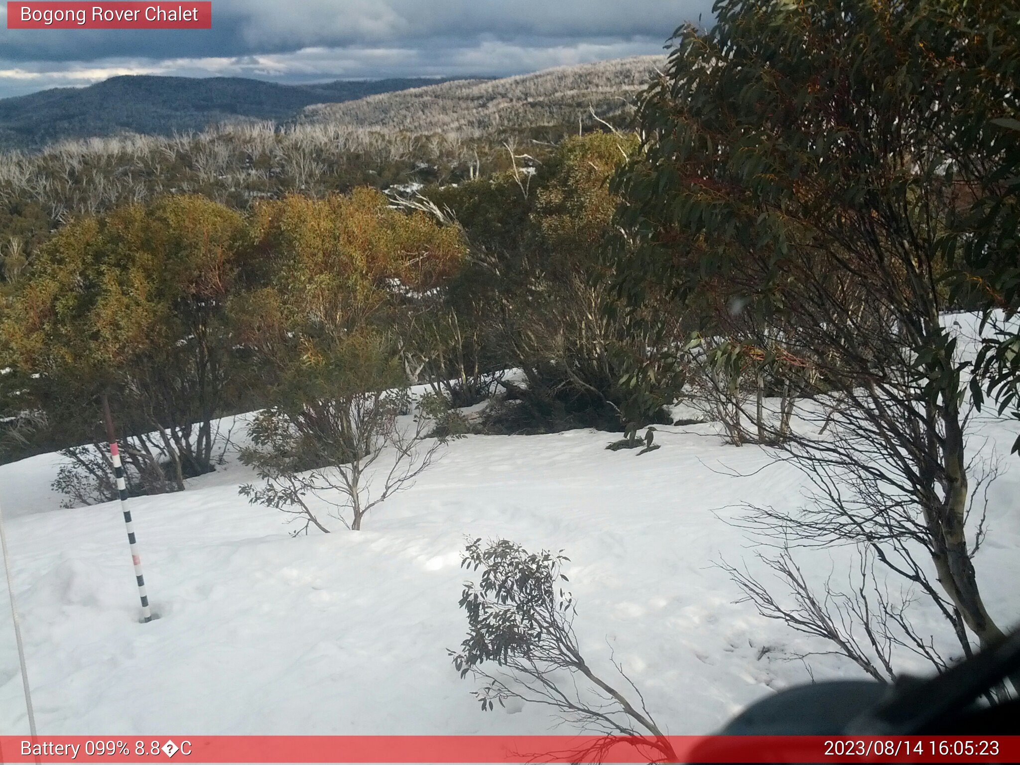 Bogong Web Cam 4:05pm Monday 14th of August 2023