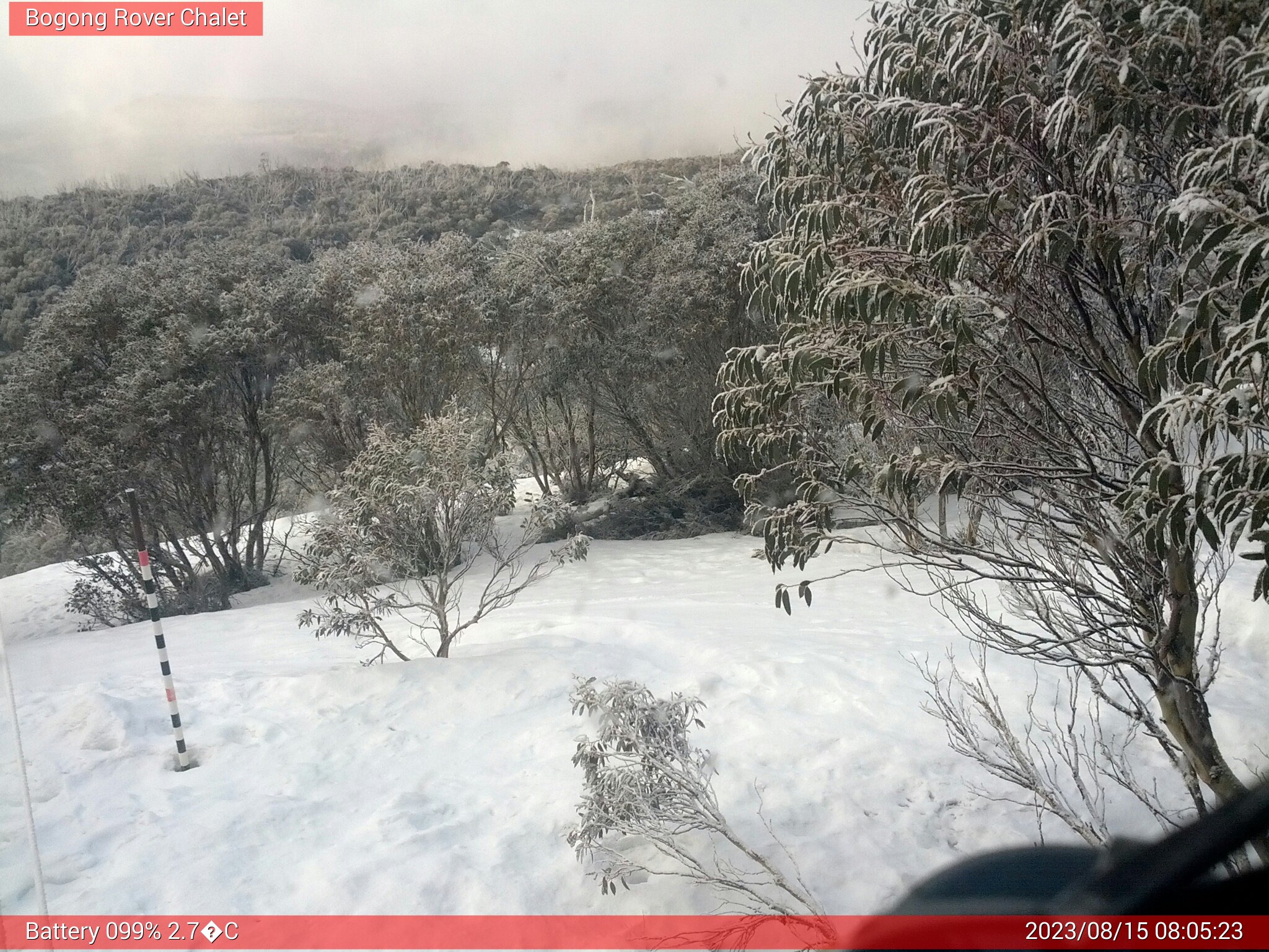 Bogong Web Cam 8:05am Tuesday 15th of August 2023