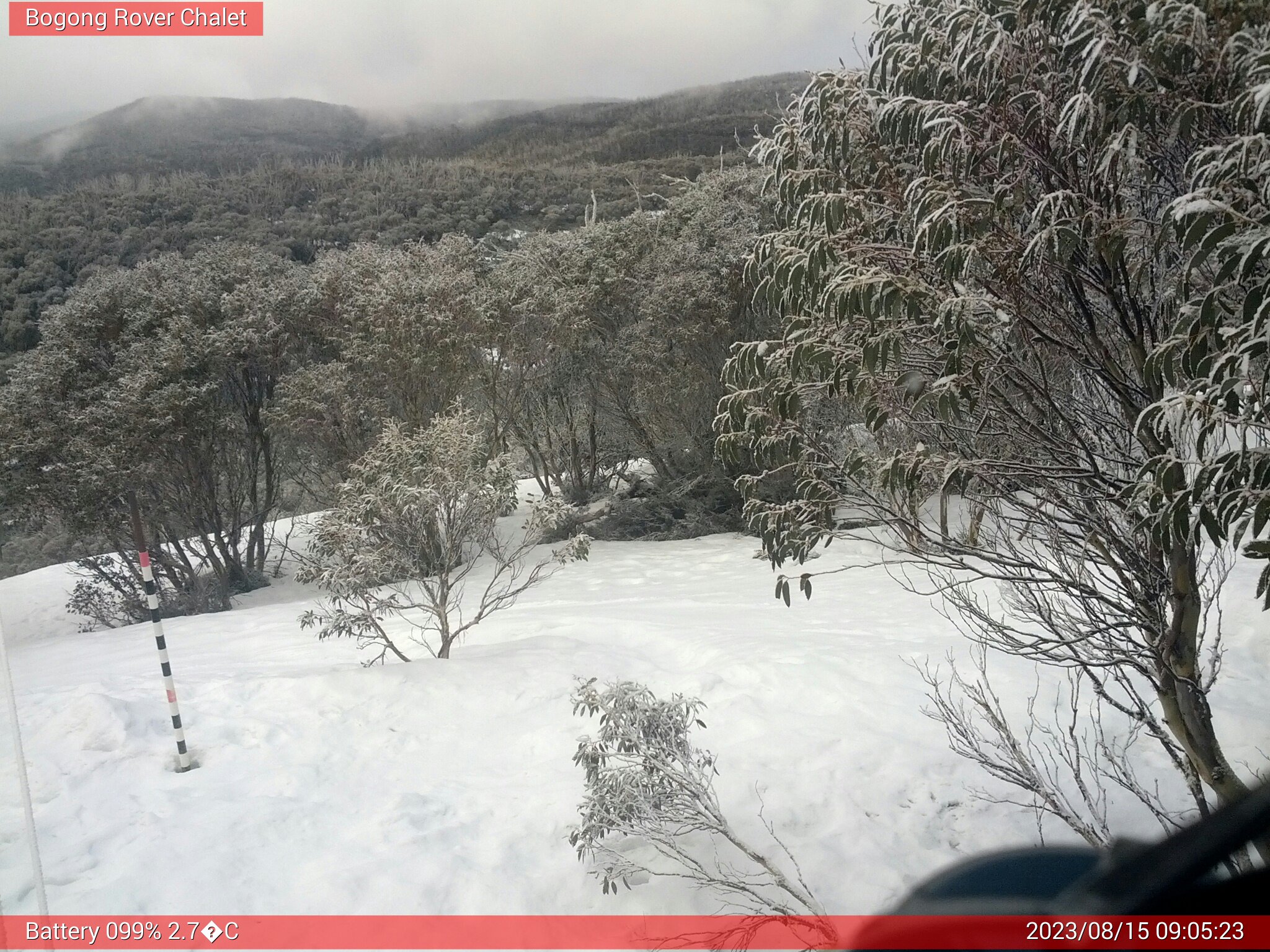 Bogong Web Cam 9:05am Tuesday 15th of August 2023