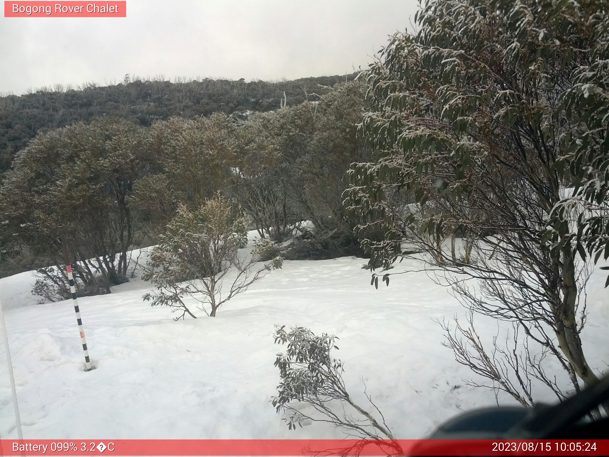 Bogong Web Cam 10:05am Tuesday 15th of August 2023