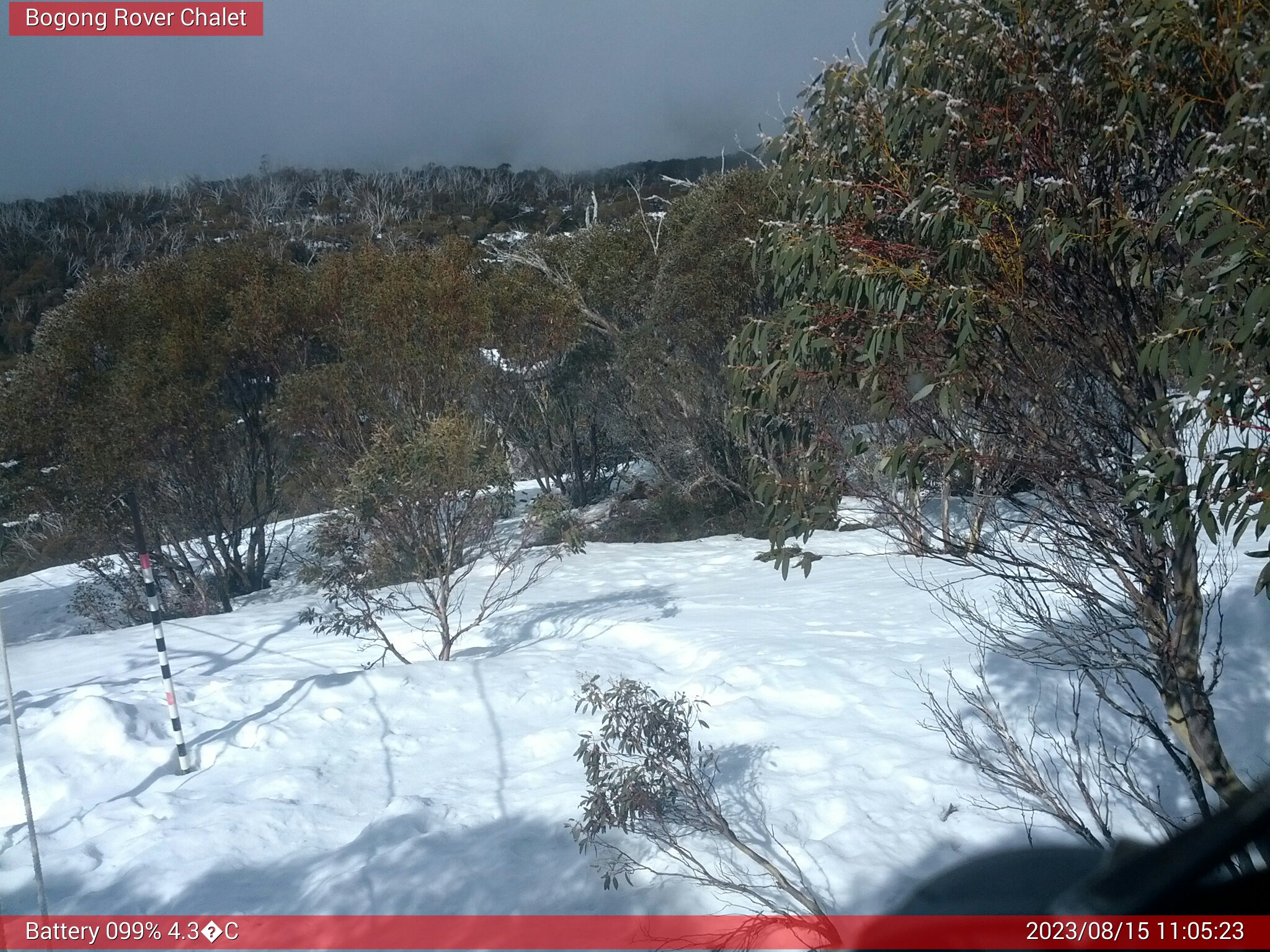 Bogong Web Cam 11:05am Tuesday 15th of August 2023