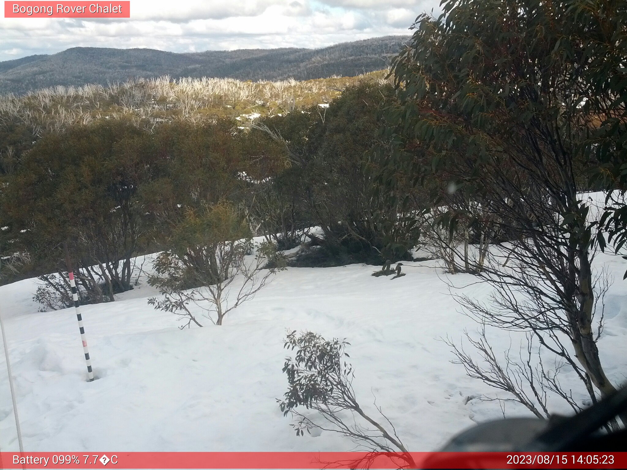 Bogong Web Cam 2:05pm Tuesday 15th of August 2023