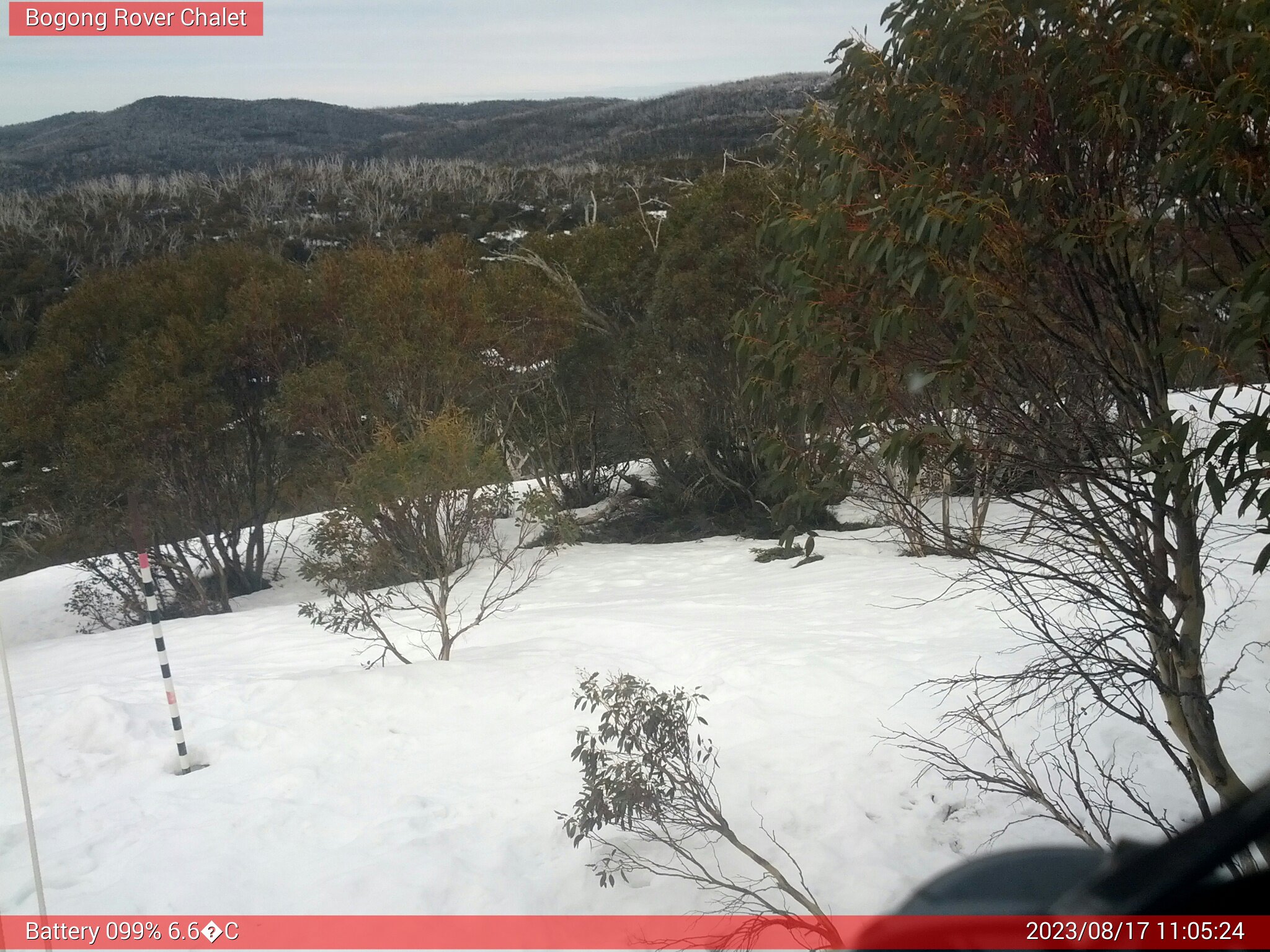 Bogong Web Cam 11:05am Thursday 17th of August 2023