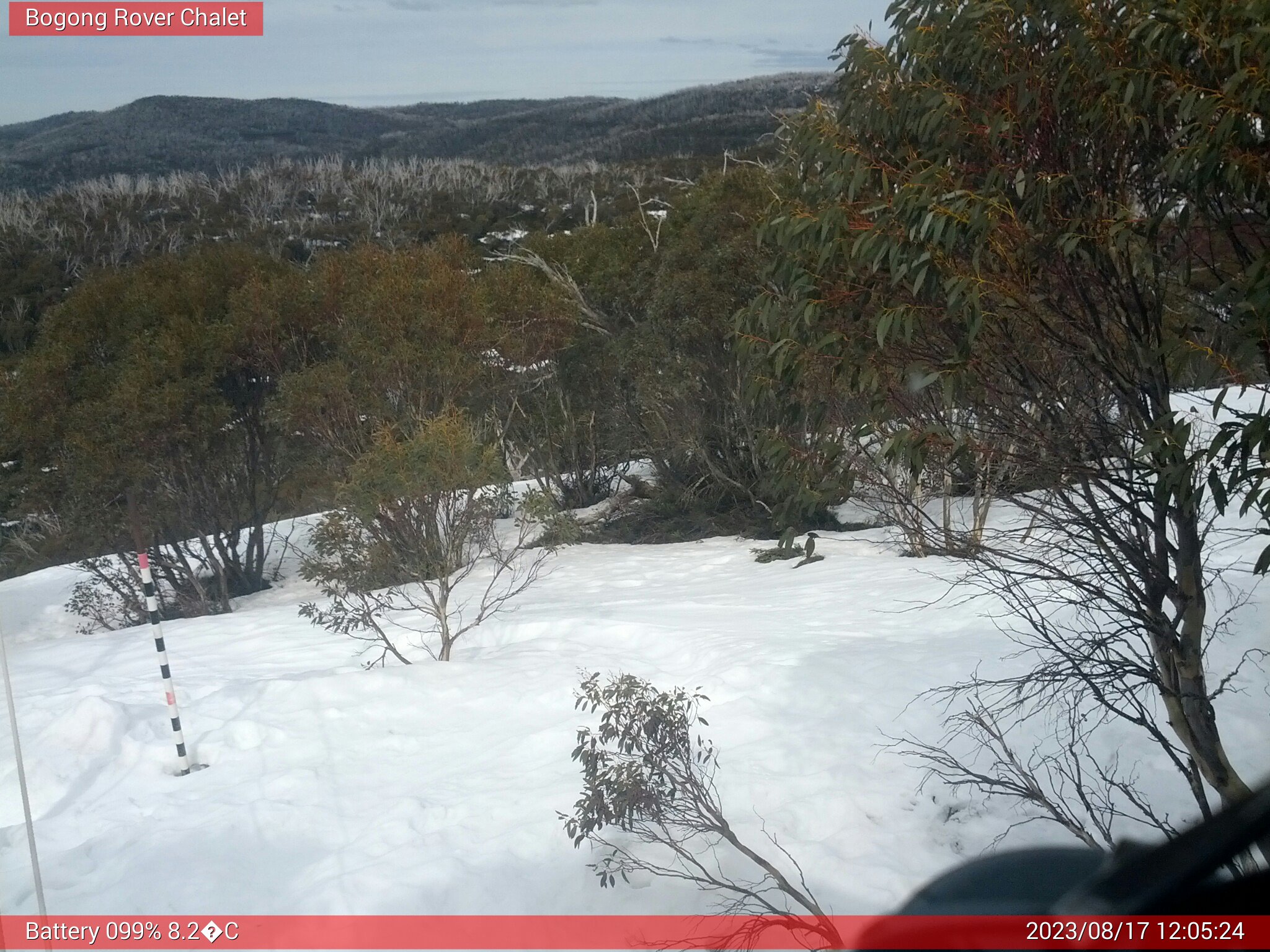 Bogong Web Cam 12:05pm Thursday 17th of August 2023