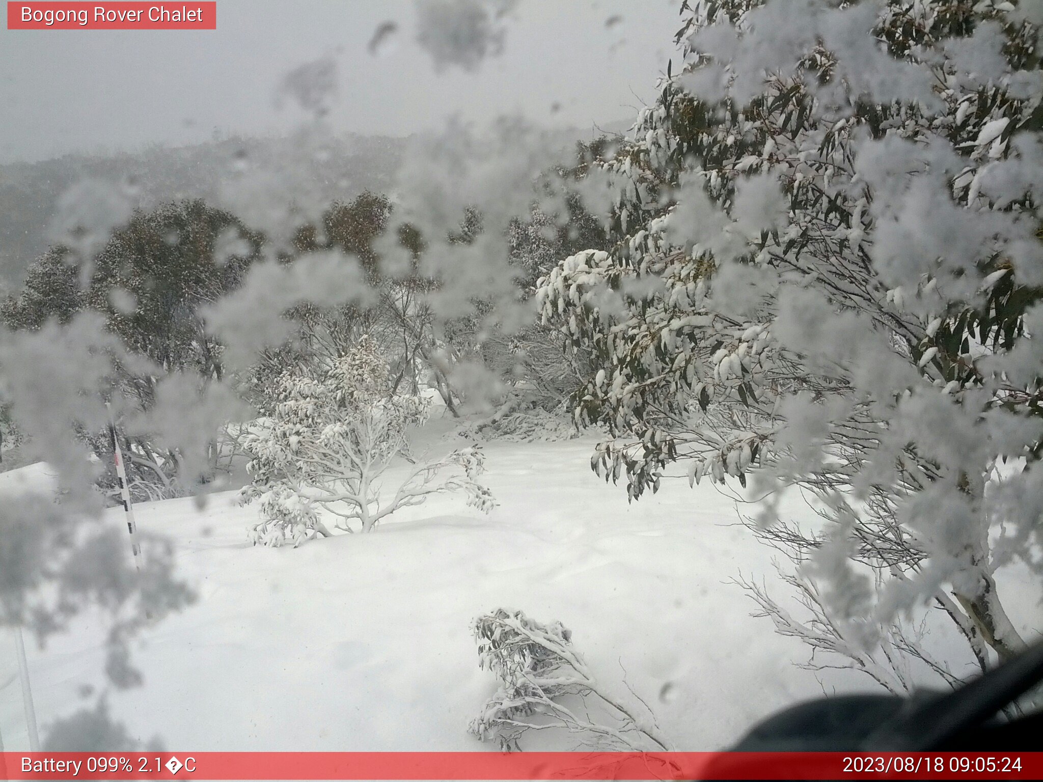 Bogong Web Cam 9:05am Friday 18th of August 2023