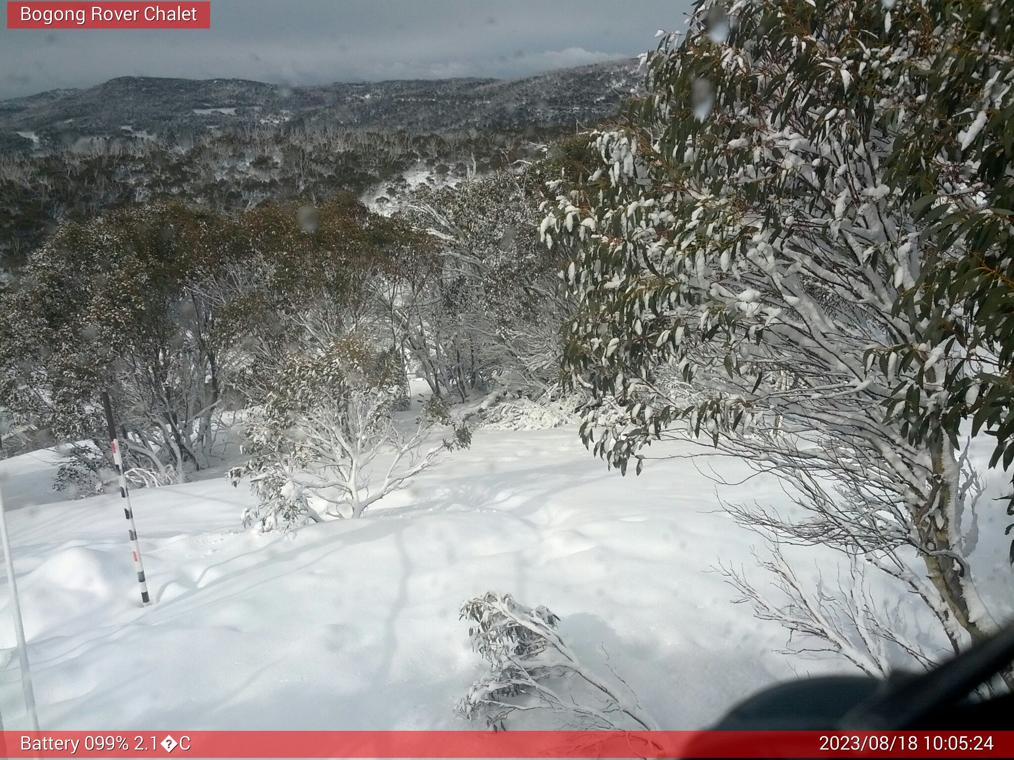 Bogong Web Cam 10:05am Friday 18th of August 2023