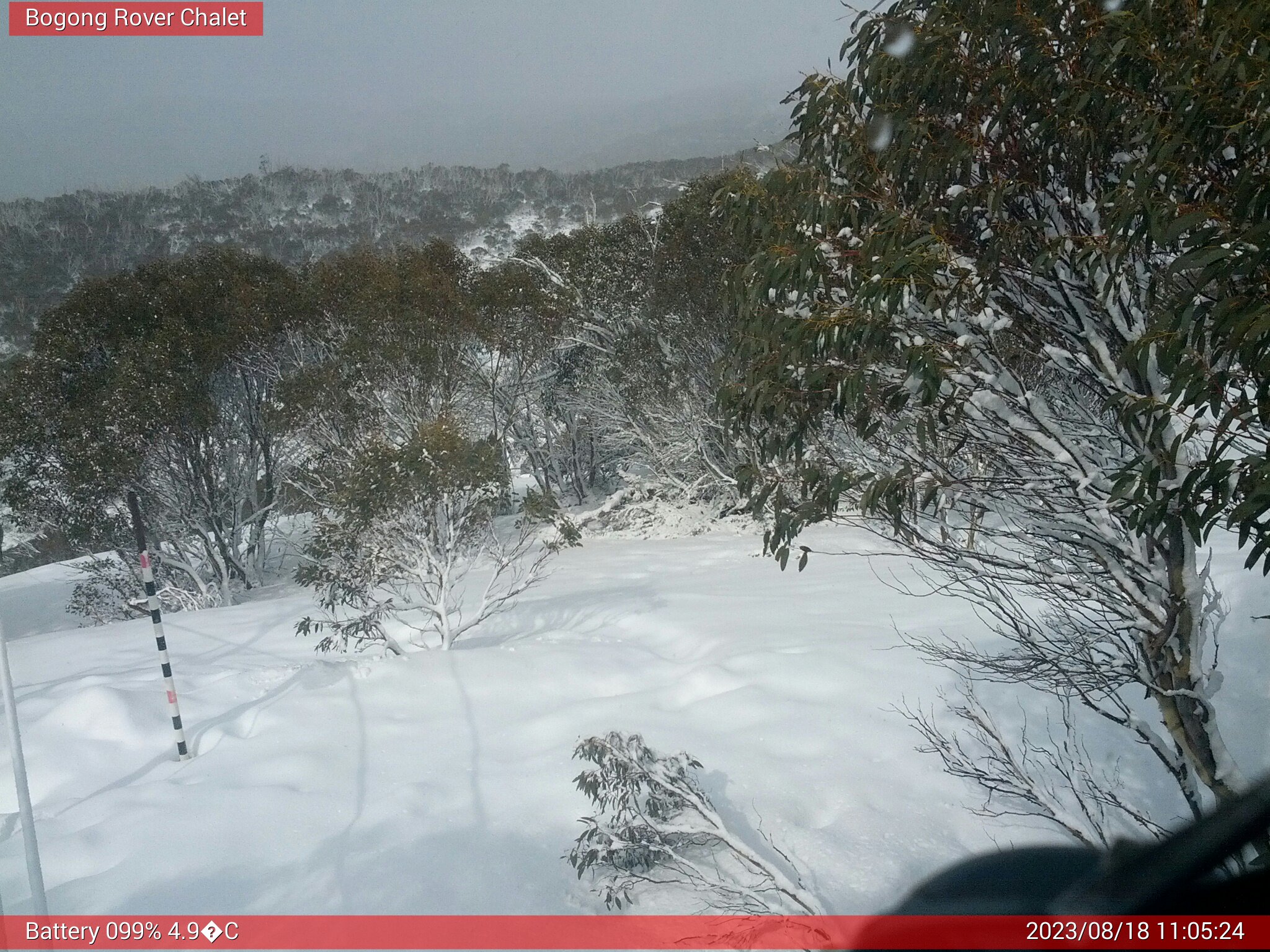 Bogong Web Cam 11:05am Friday 18th of August 2023