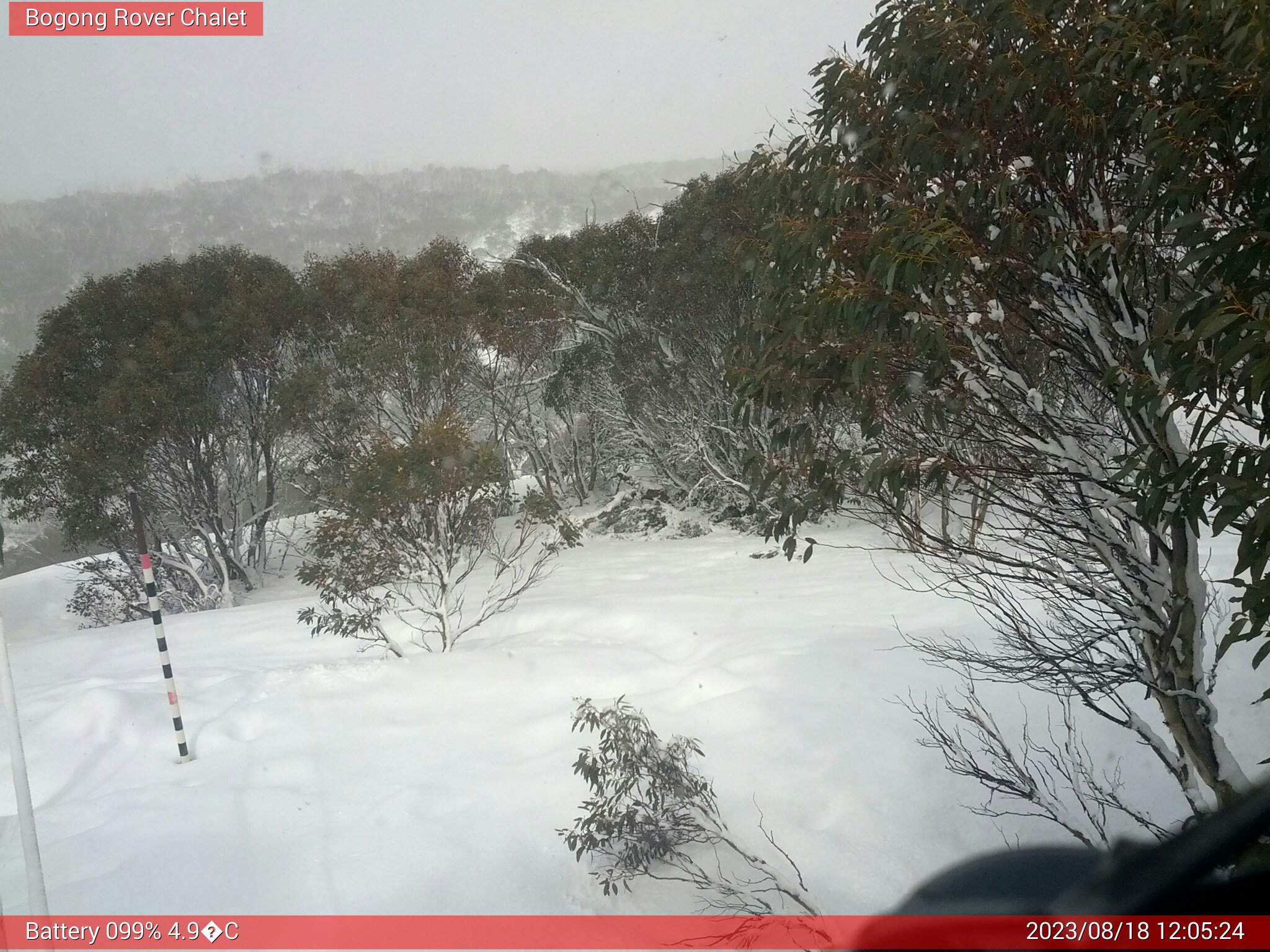 Bogong Web Cam 12:05pm Friday 18th of August 2023