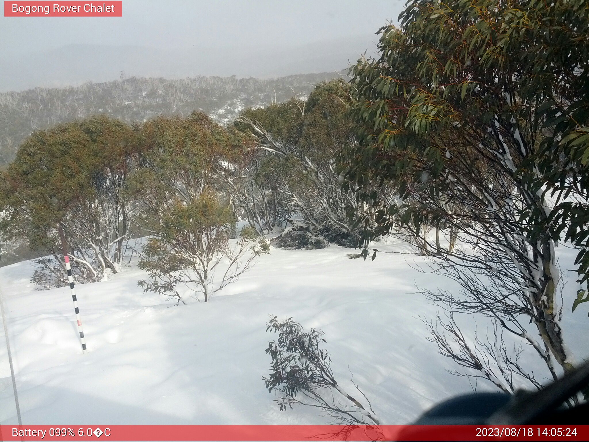 Bogong Web Cam 2:05pm Friday 18th of August 2023