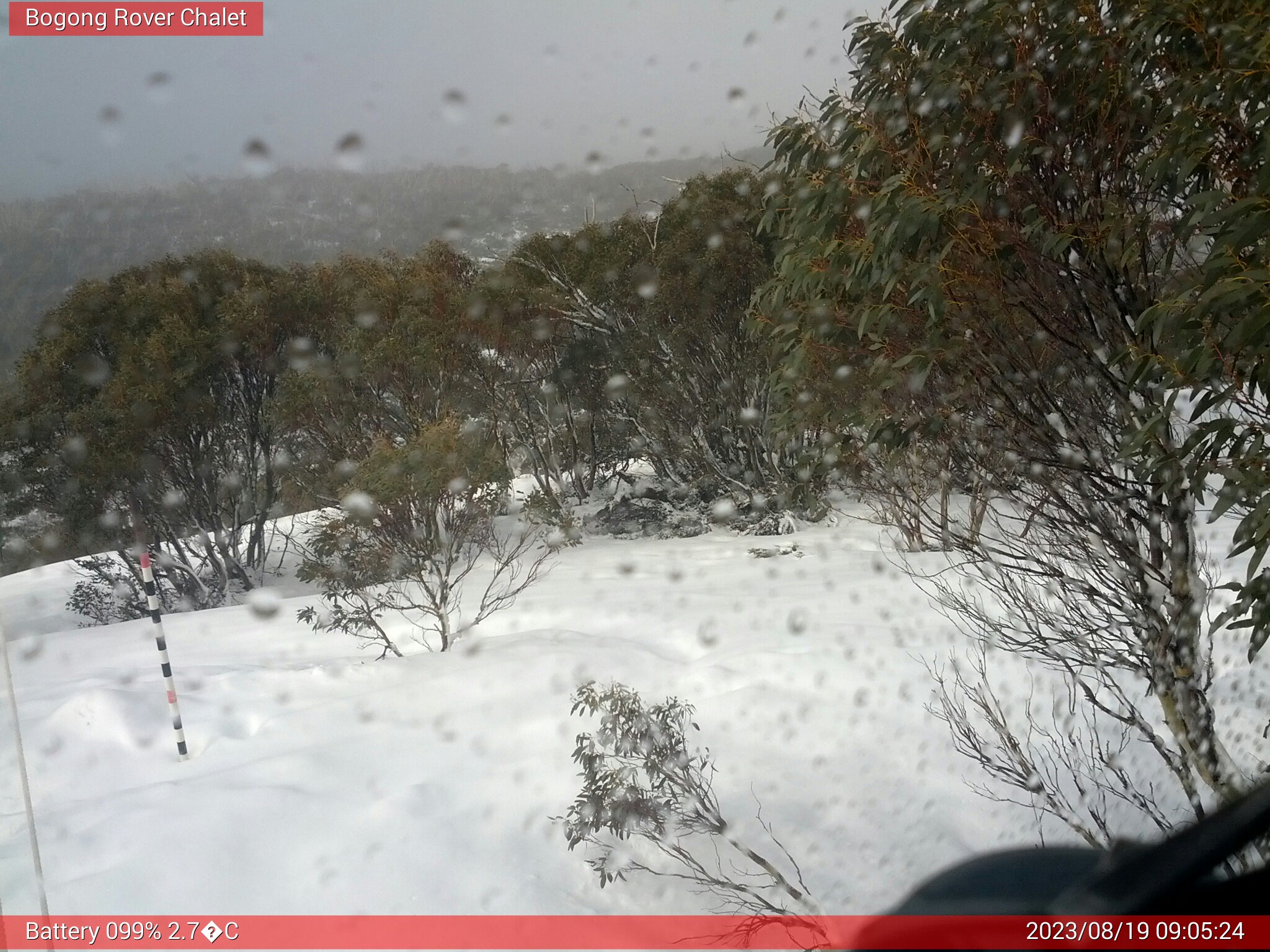 Bogong Web Cam 9:05am Saturday 19th of August 2023