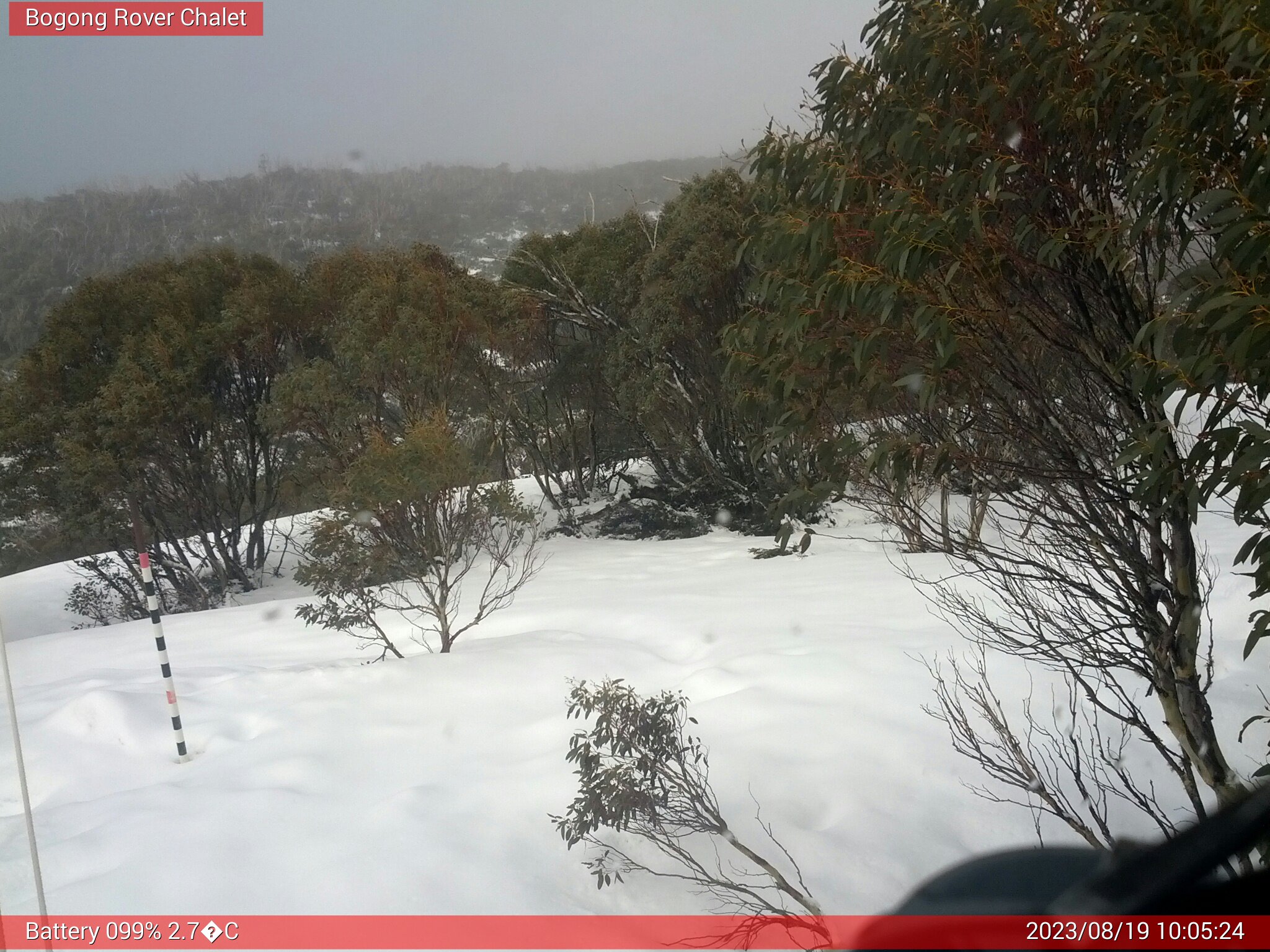 Bogong Web Cam 10:05am Saturday 19th of August 2023