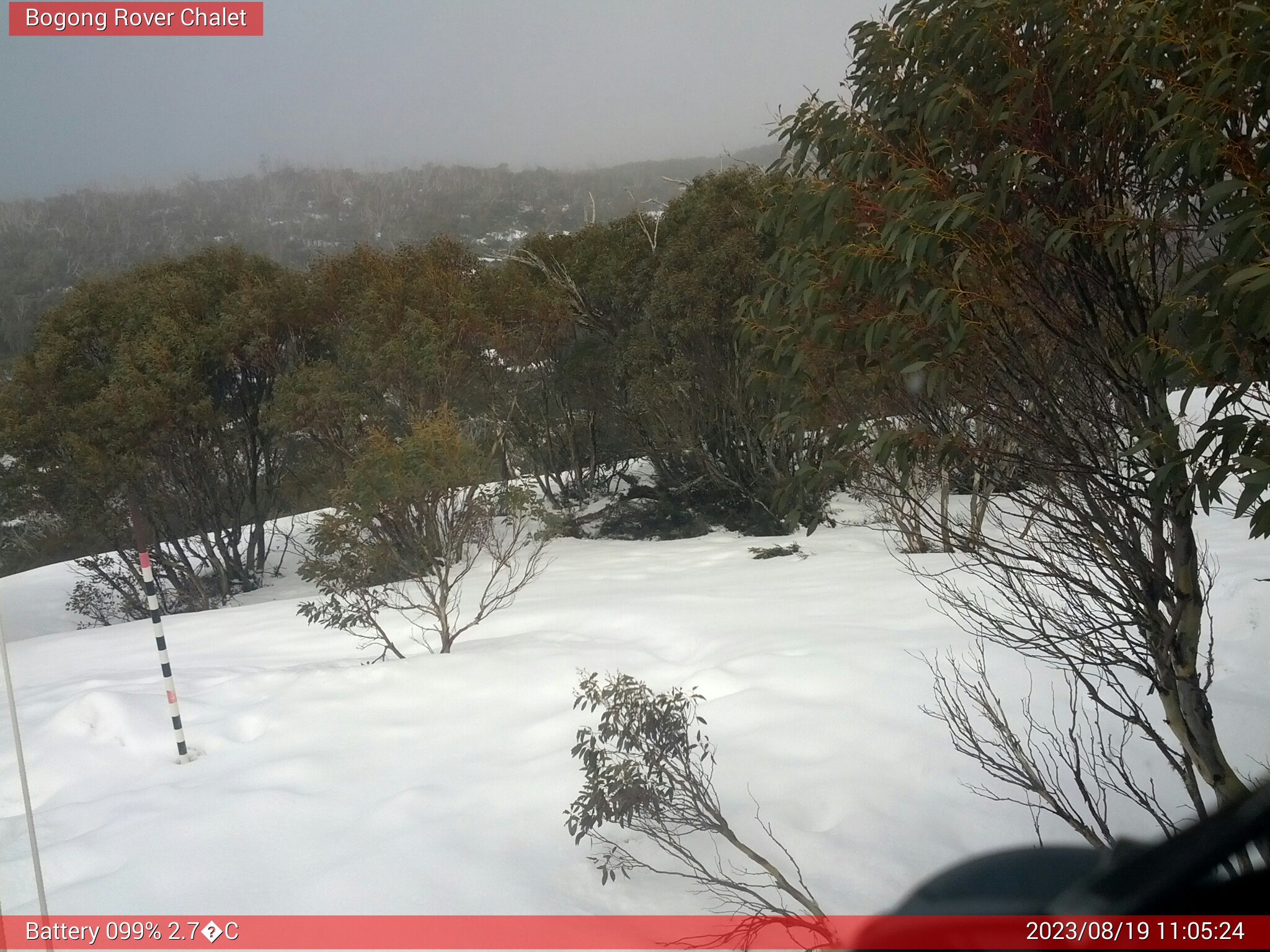 Bogong Web Cam 11:05am Saturday 19th of August 2023