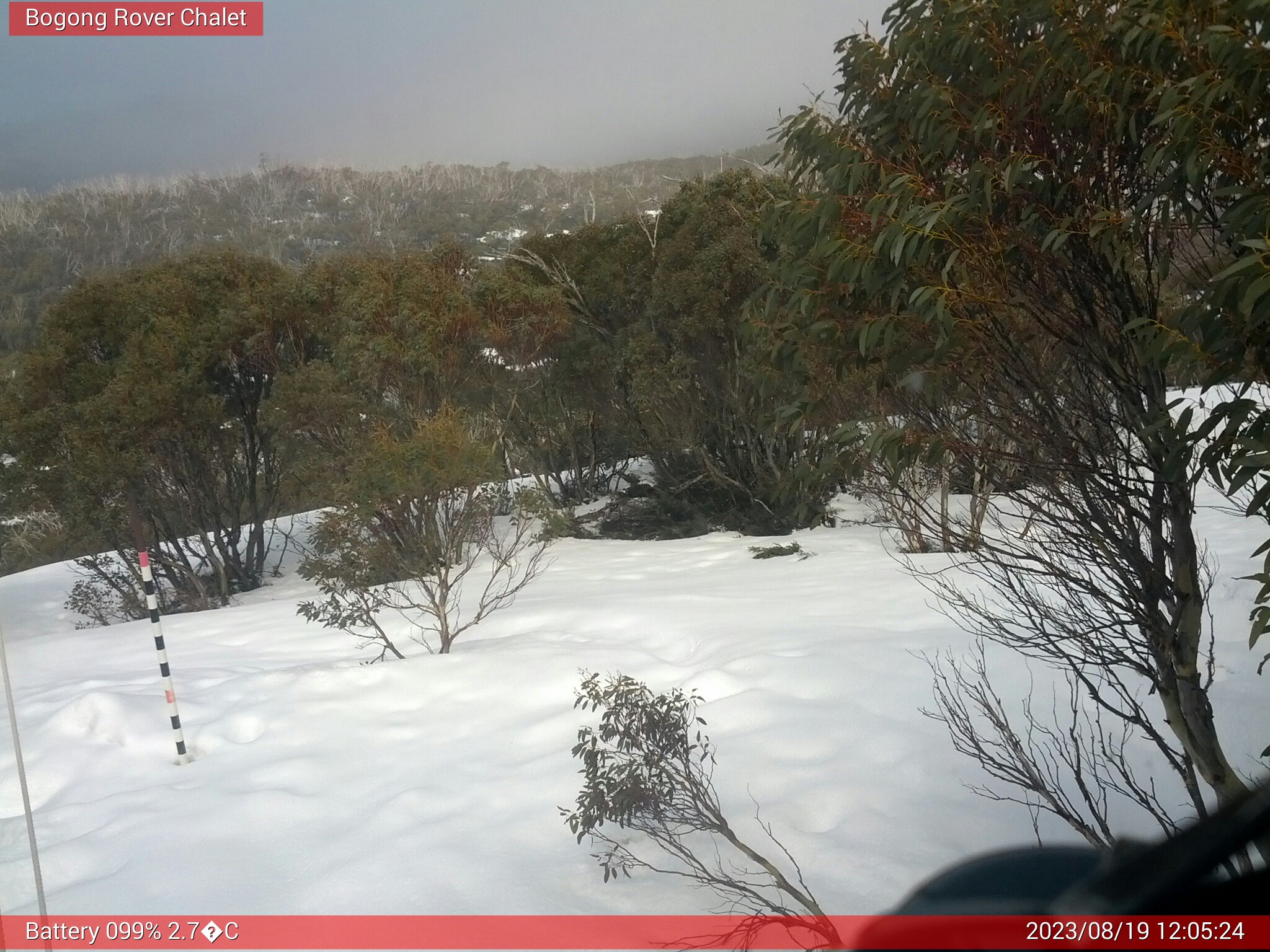 Bogong Web Cam 12:05pm Saturday 19th of August 2023