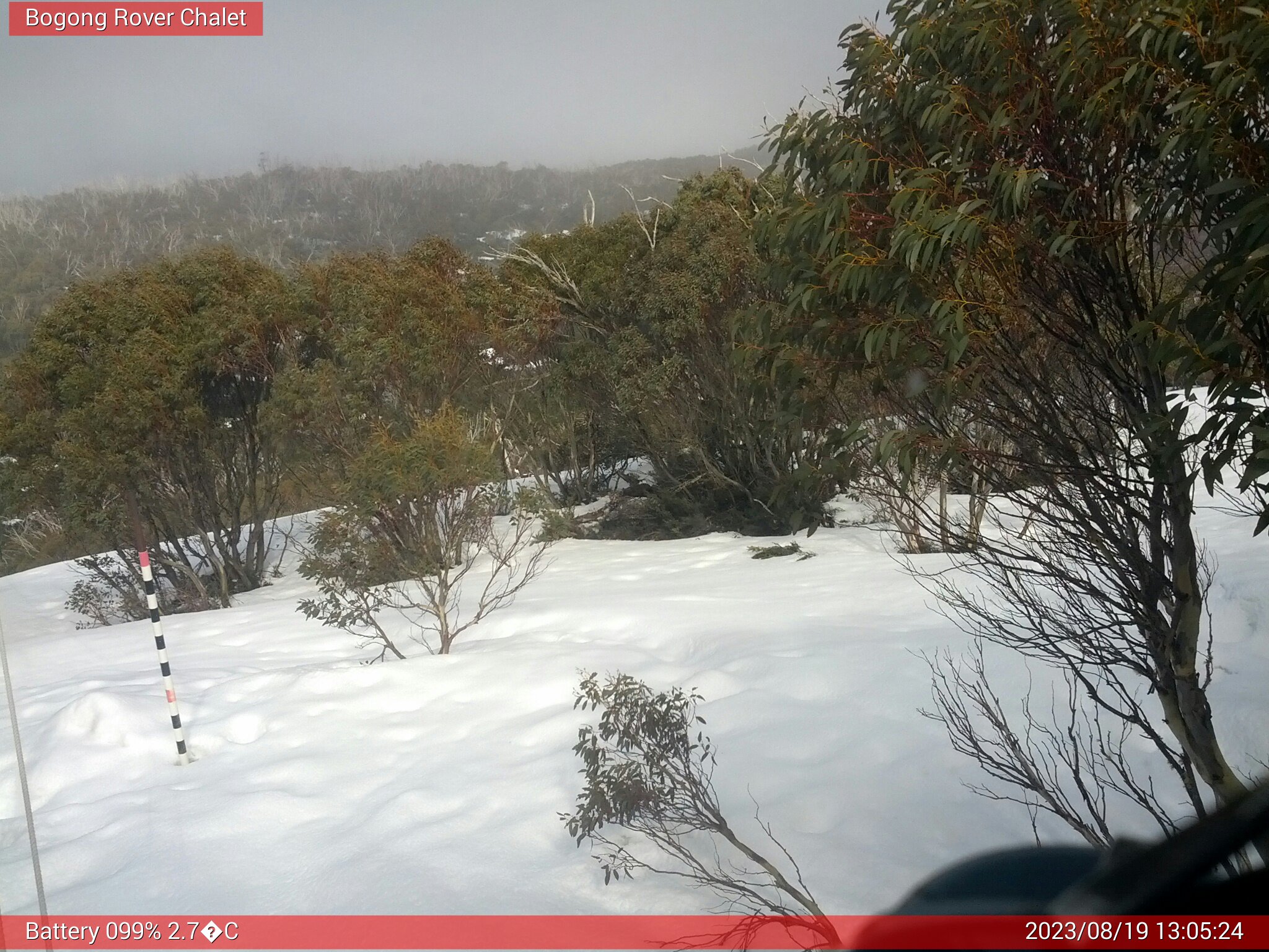 Bogong Web Cam 1:05pm Saturday 19th of August 2023