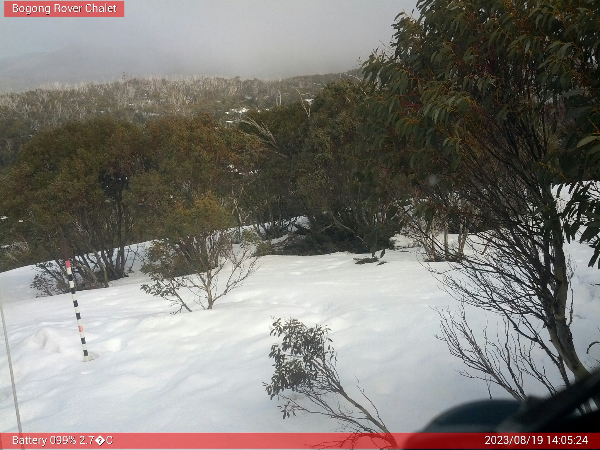 Bogong Web Cam 2:05pm Saturday 19th of August 2023