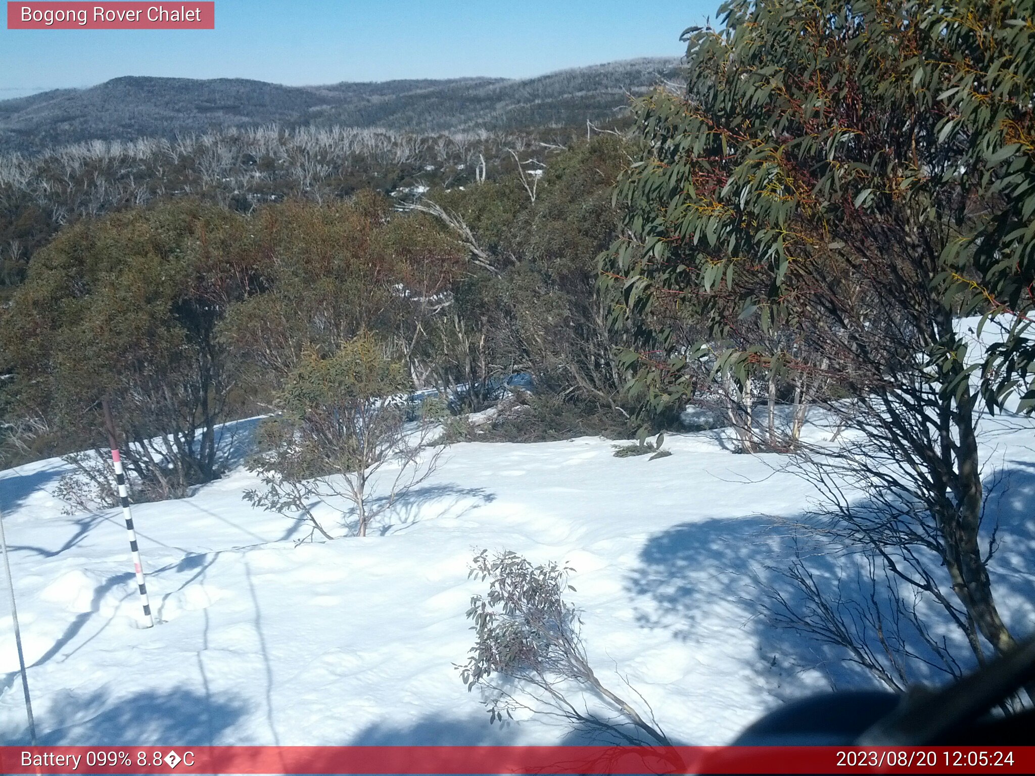 Bogong Web Cam 12:05pm Sunday 20th of August 2023