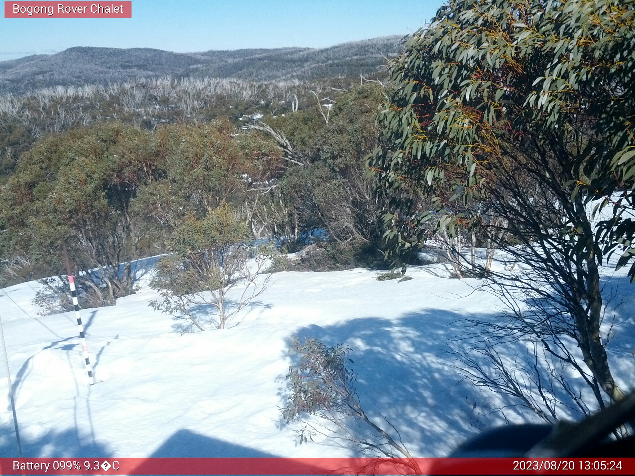 Bogong Web Cam 1:05pm Sunday 20th of August 2023