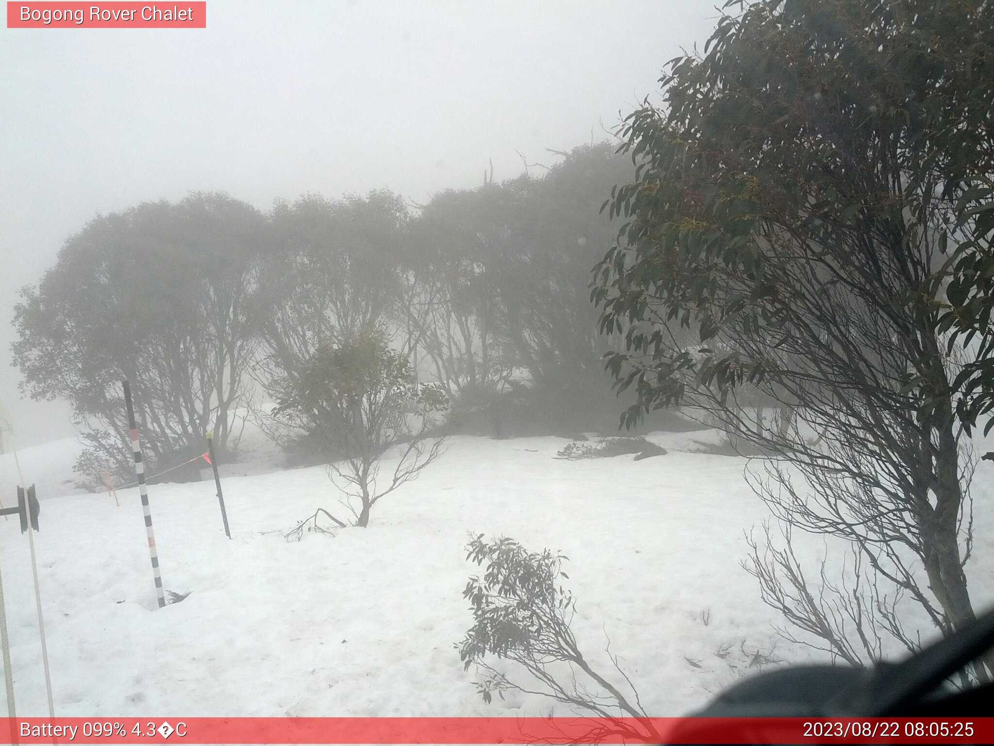 Bogong Web Cam 8:05am Tuesday 22nd of August 2023