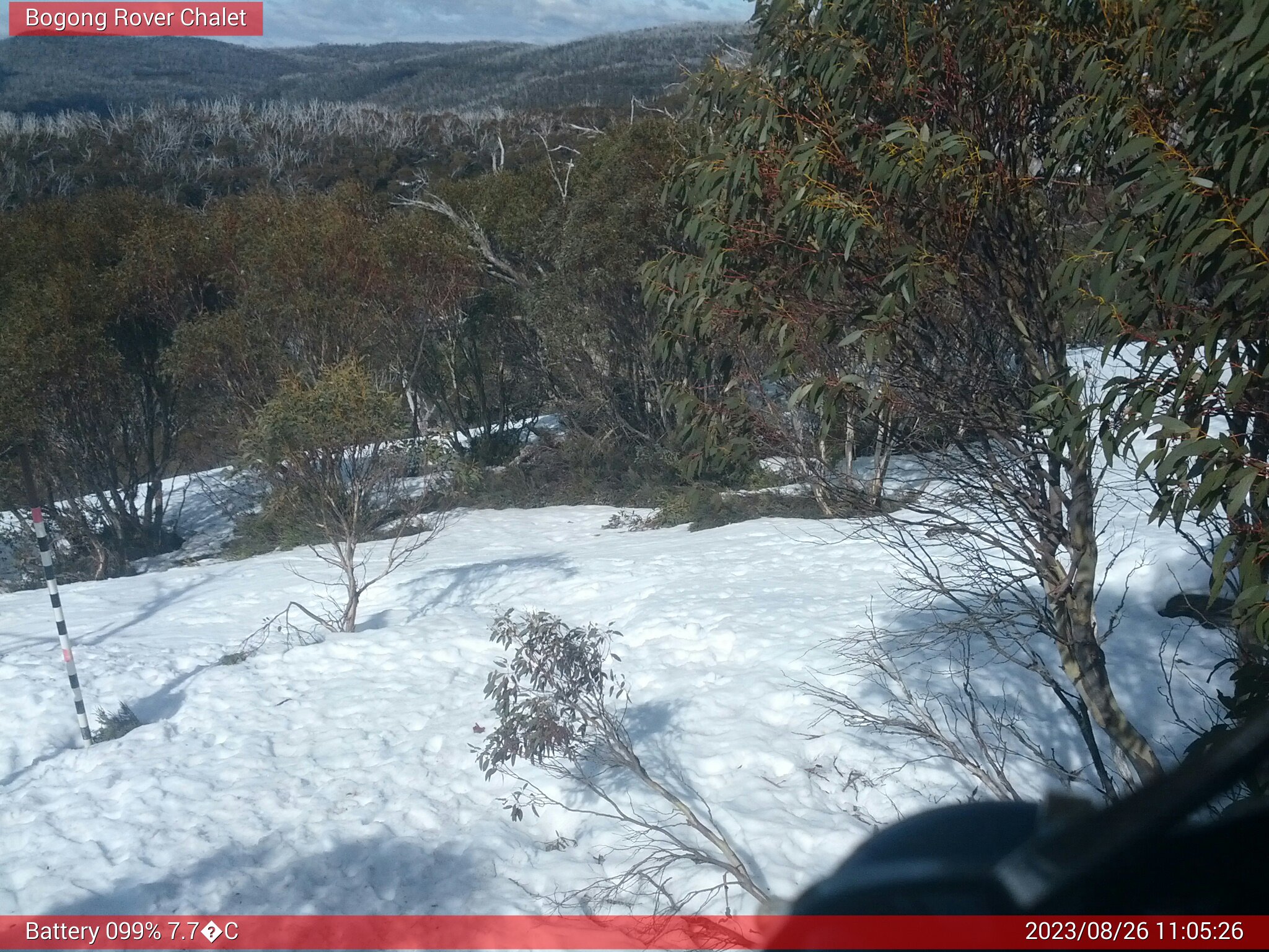 Bogong Web Cam 11:05am Saturday 26th of August 2023