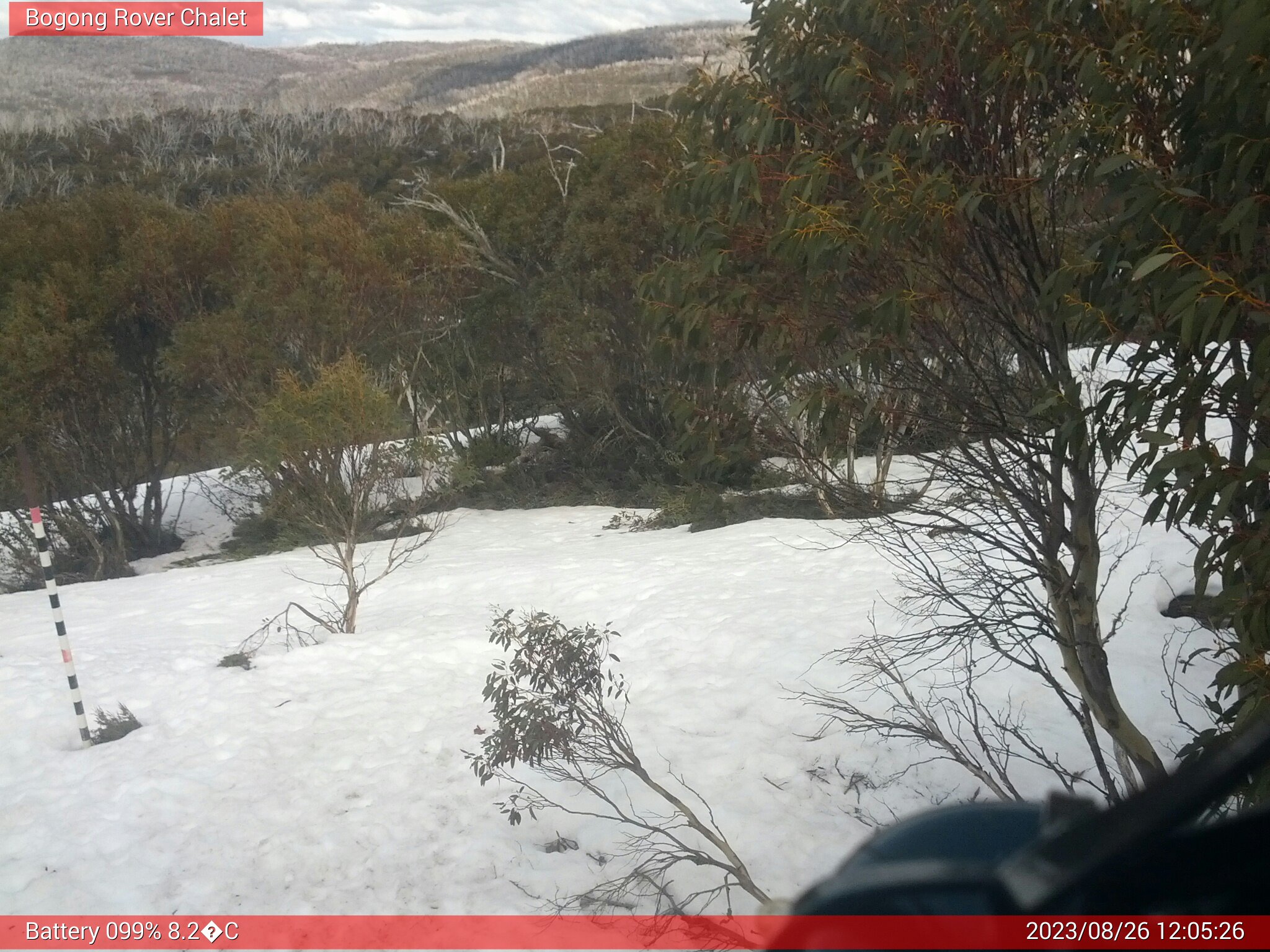 Bogong Web Cam 12:05pm Saturday 26th of August 2023