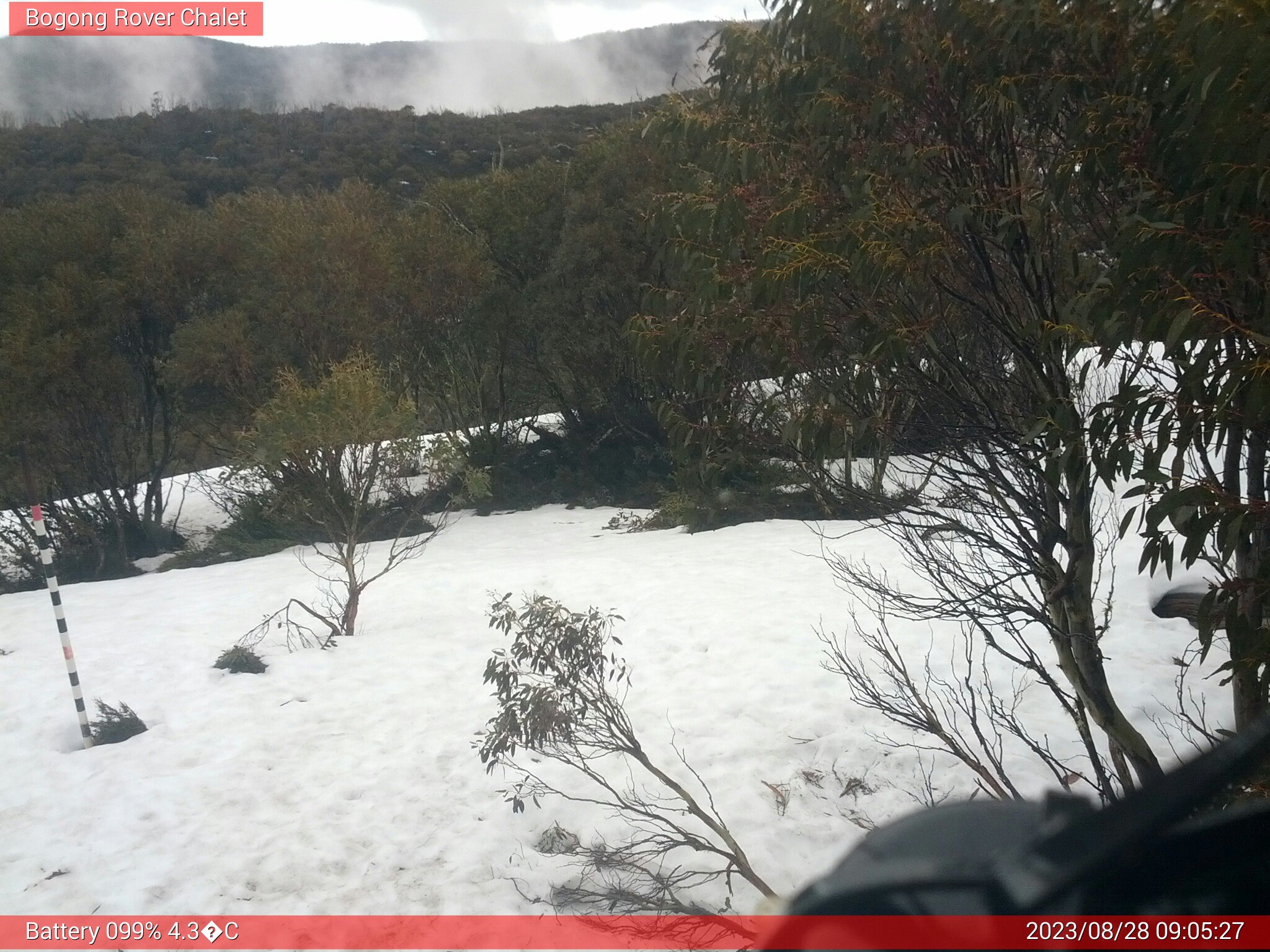 Bogong Web Cam 9:05am Monday 28th of August 2023