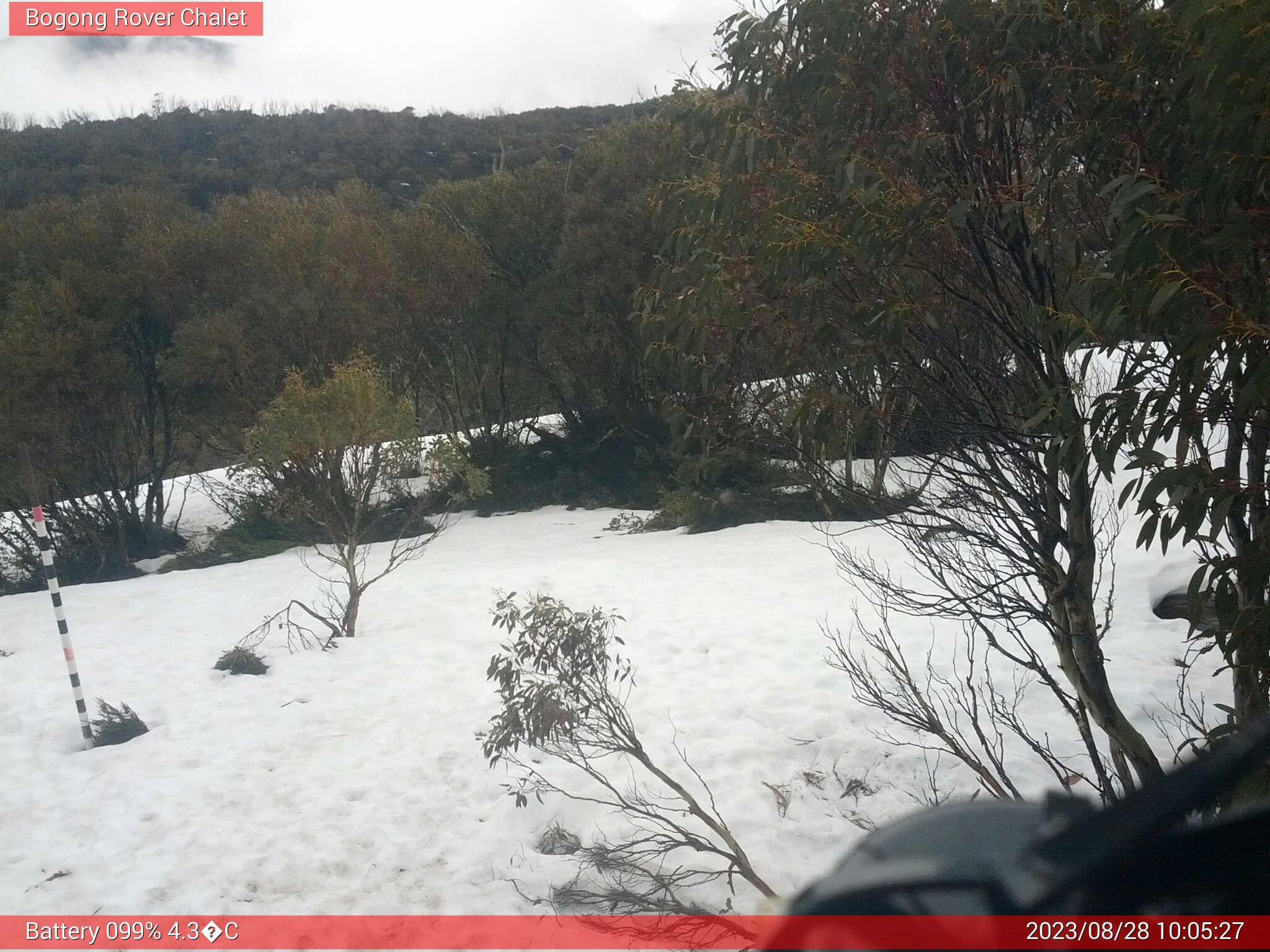 Bogong Web Cam 10:05am Monday 28th of August 2023