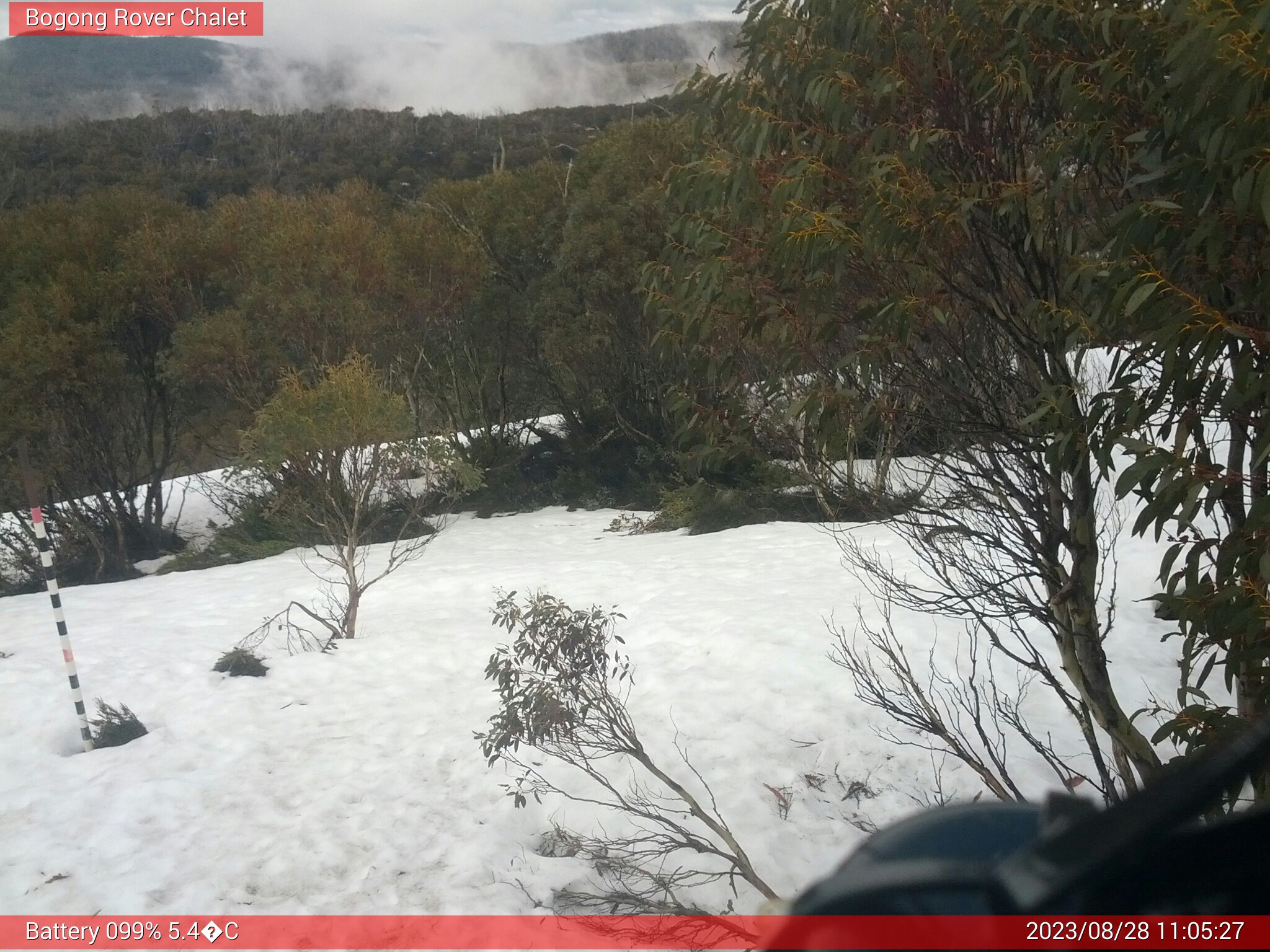 Bogong Web Cam 11:05am Monday 28th of August 2023