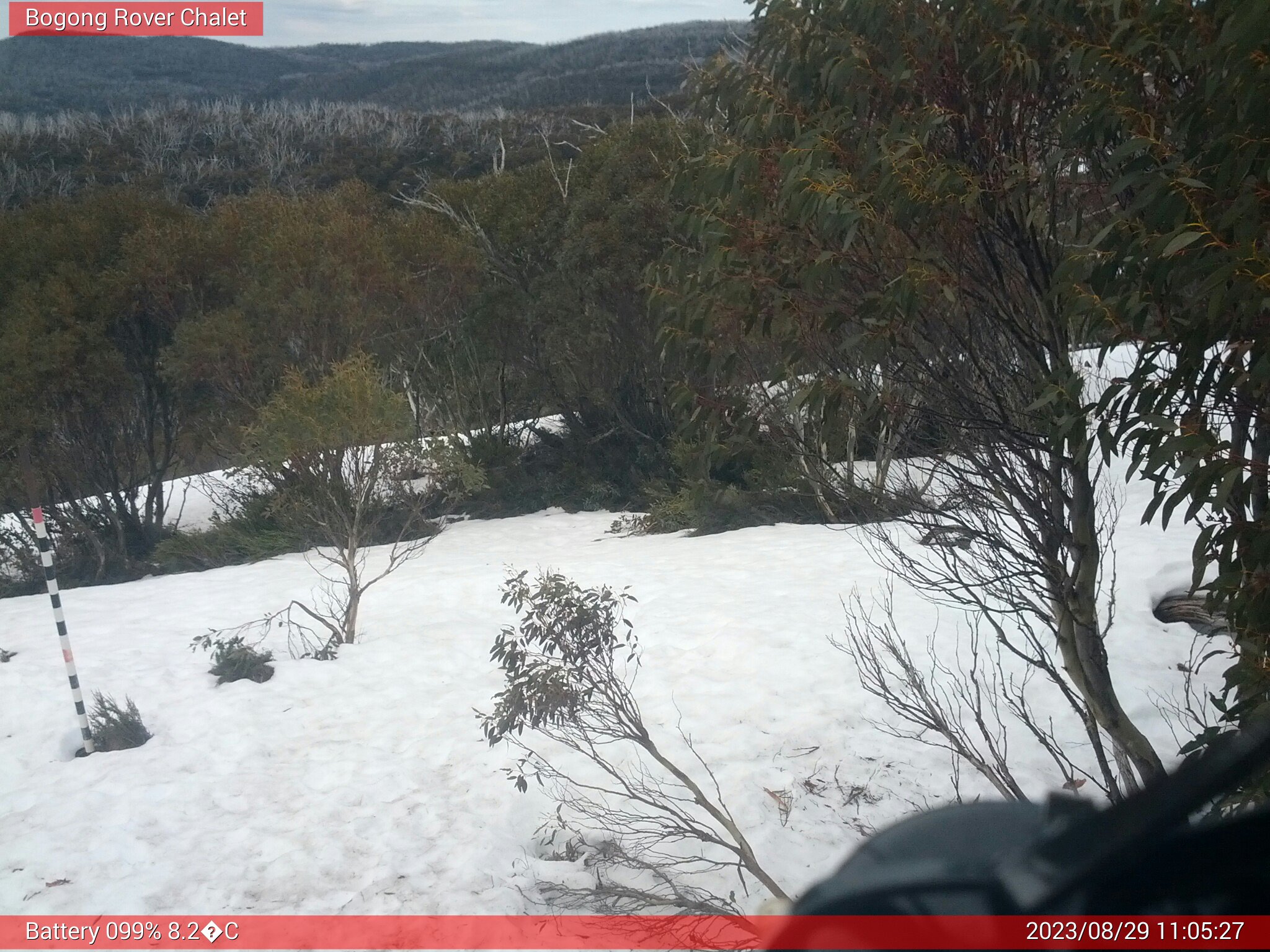 Bogong Web Cam 11:05am Tuesday 29th of August 2023