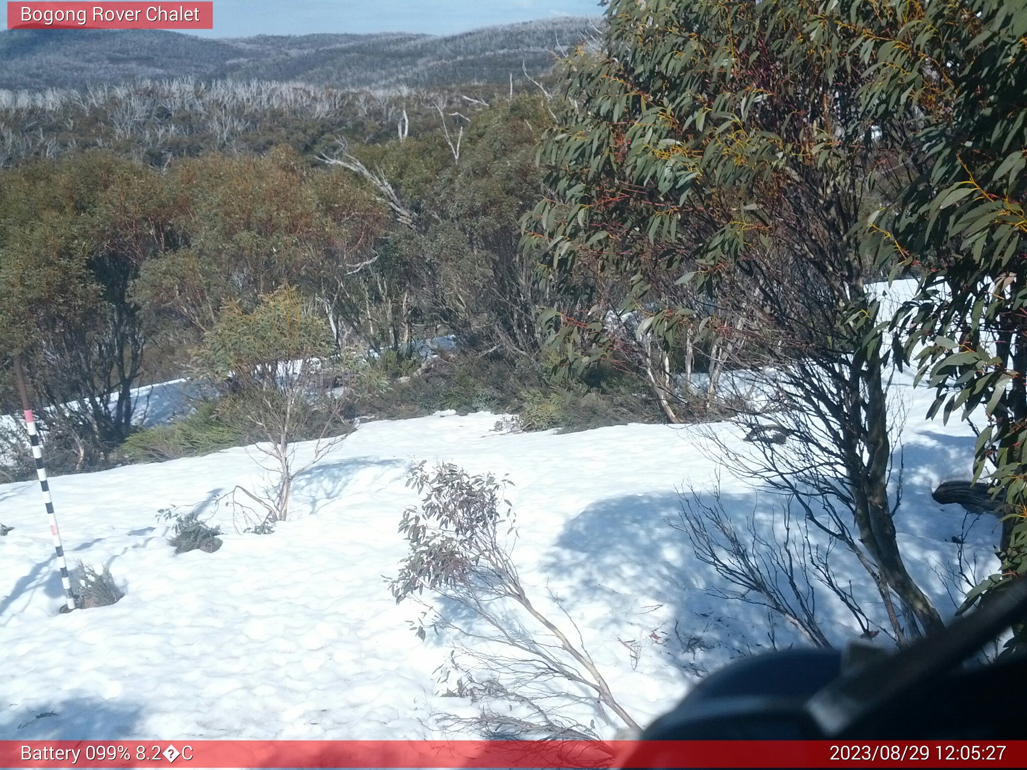 Bogong Web Cam 12:05pm Tuesday 29th of August 2023