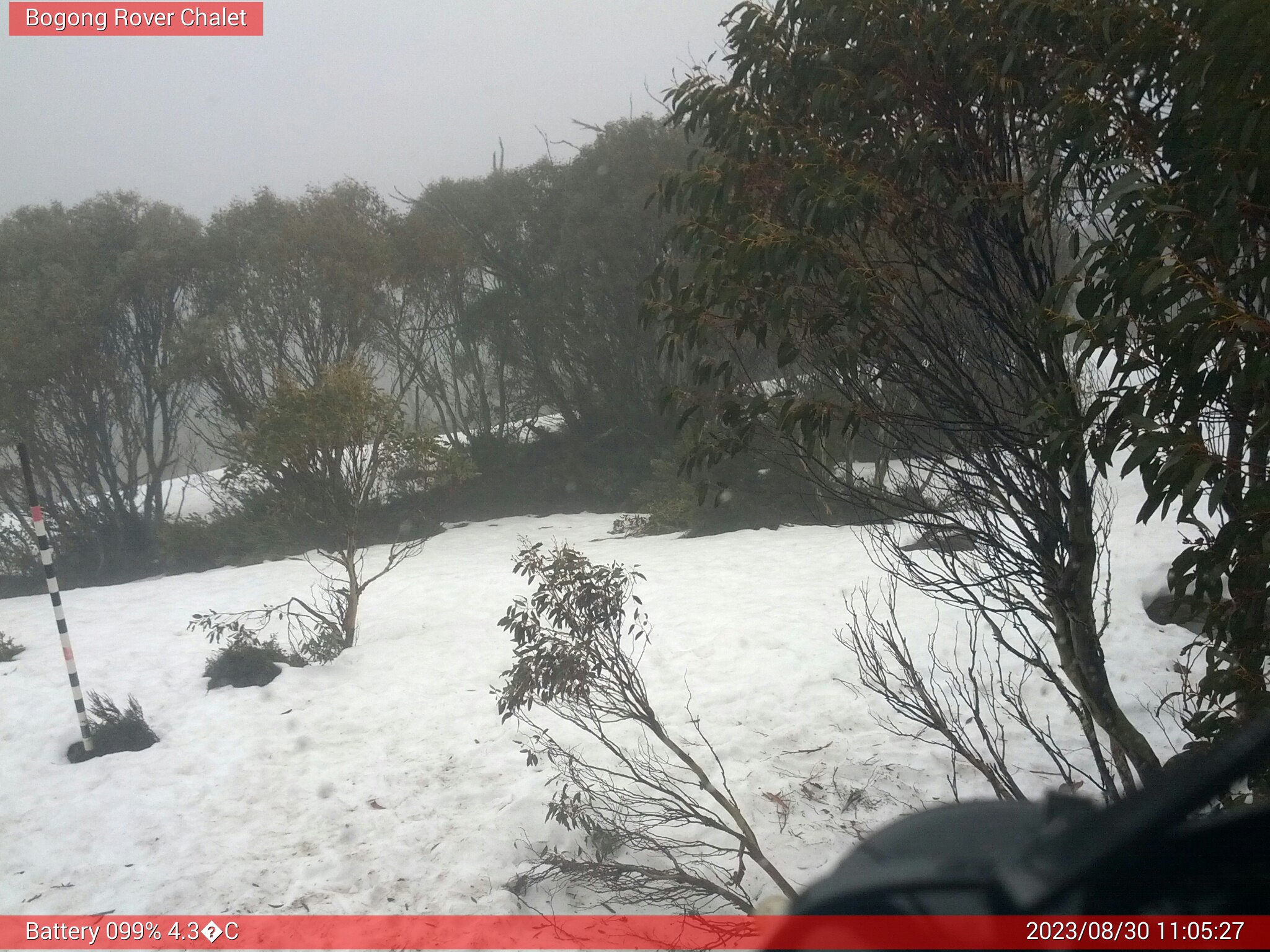 Bogong Web Cam 11:05am Wednesday 30th of August 2023