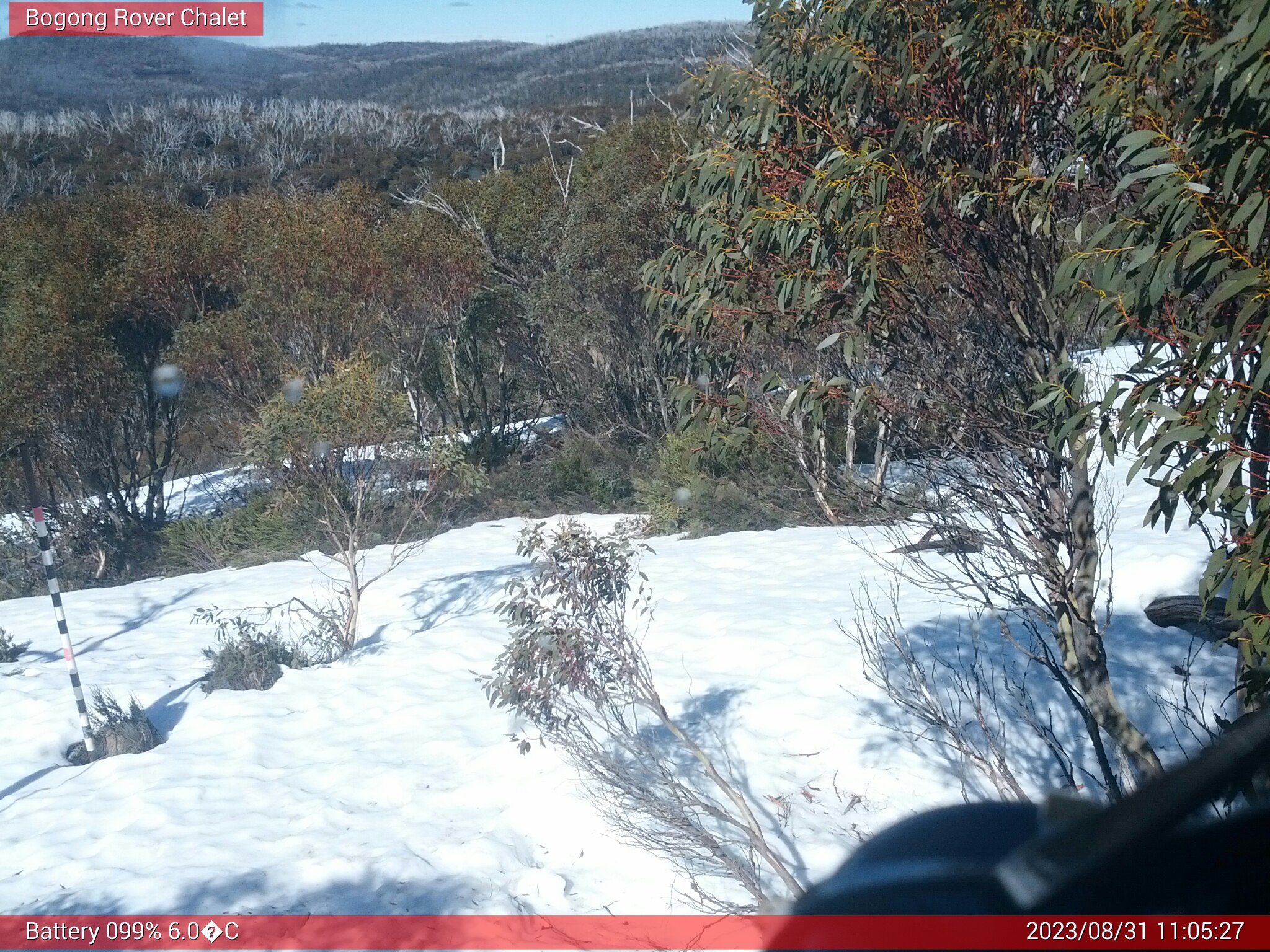 Bogong Web Cam 11:05am Thursday 31st of August 2023