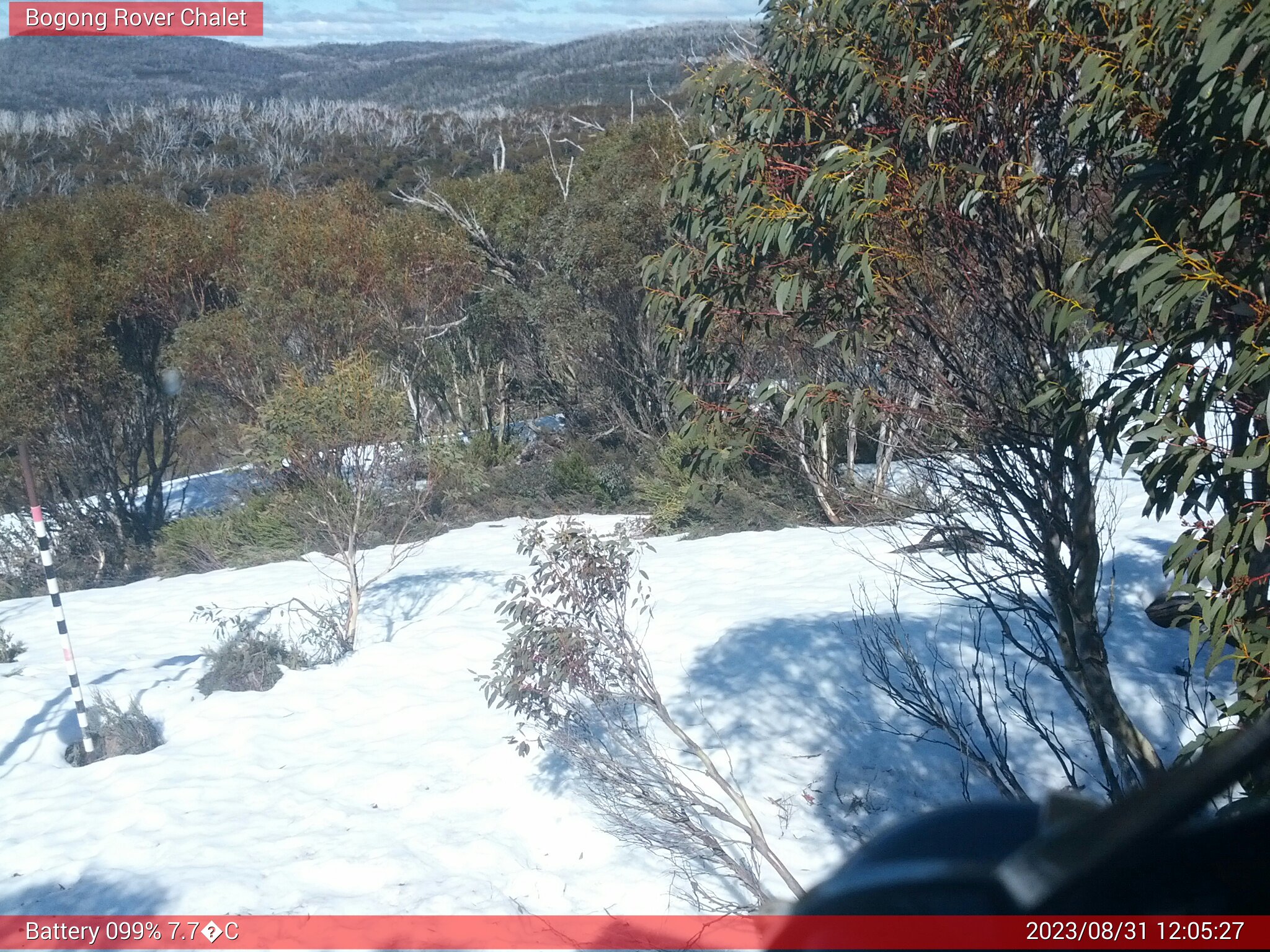 Bogong Web Cam 12:05pm Thursday 31st of August 2023