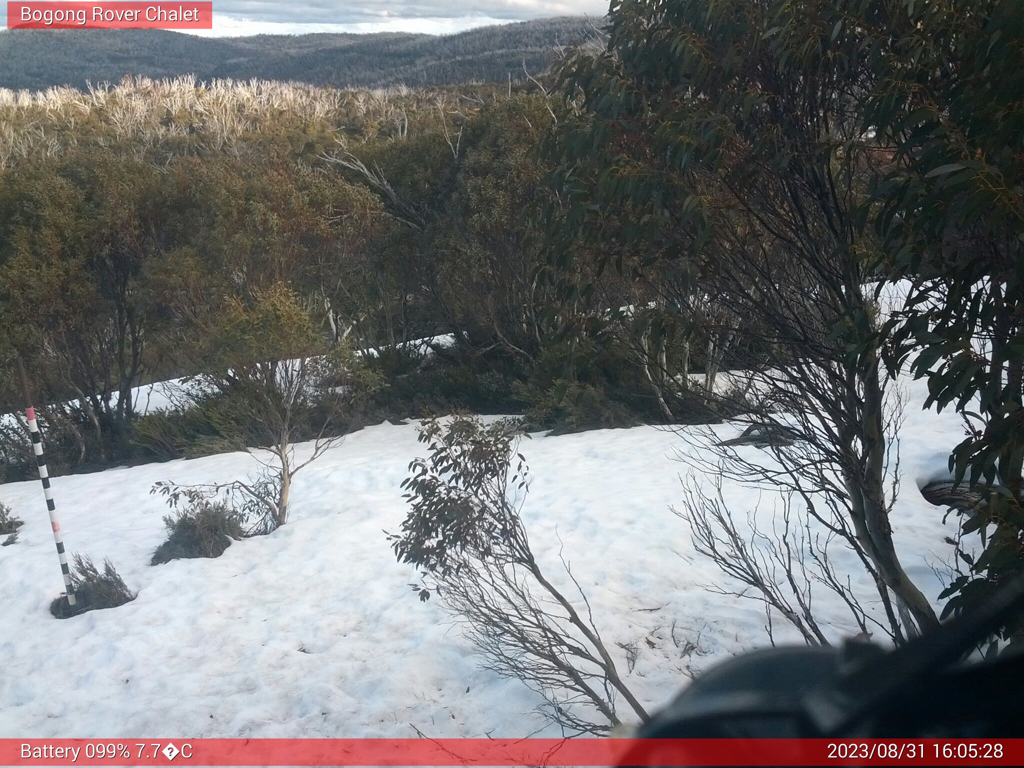 Bogong Web Cam 4:05pm Thursday 31st of August 2023