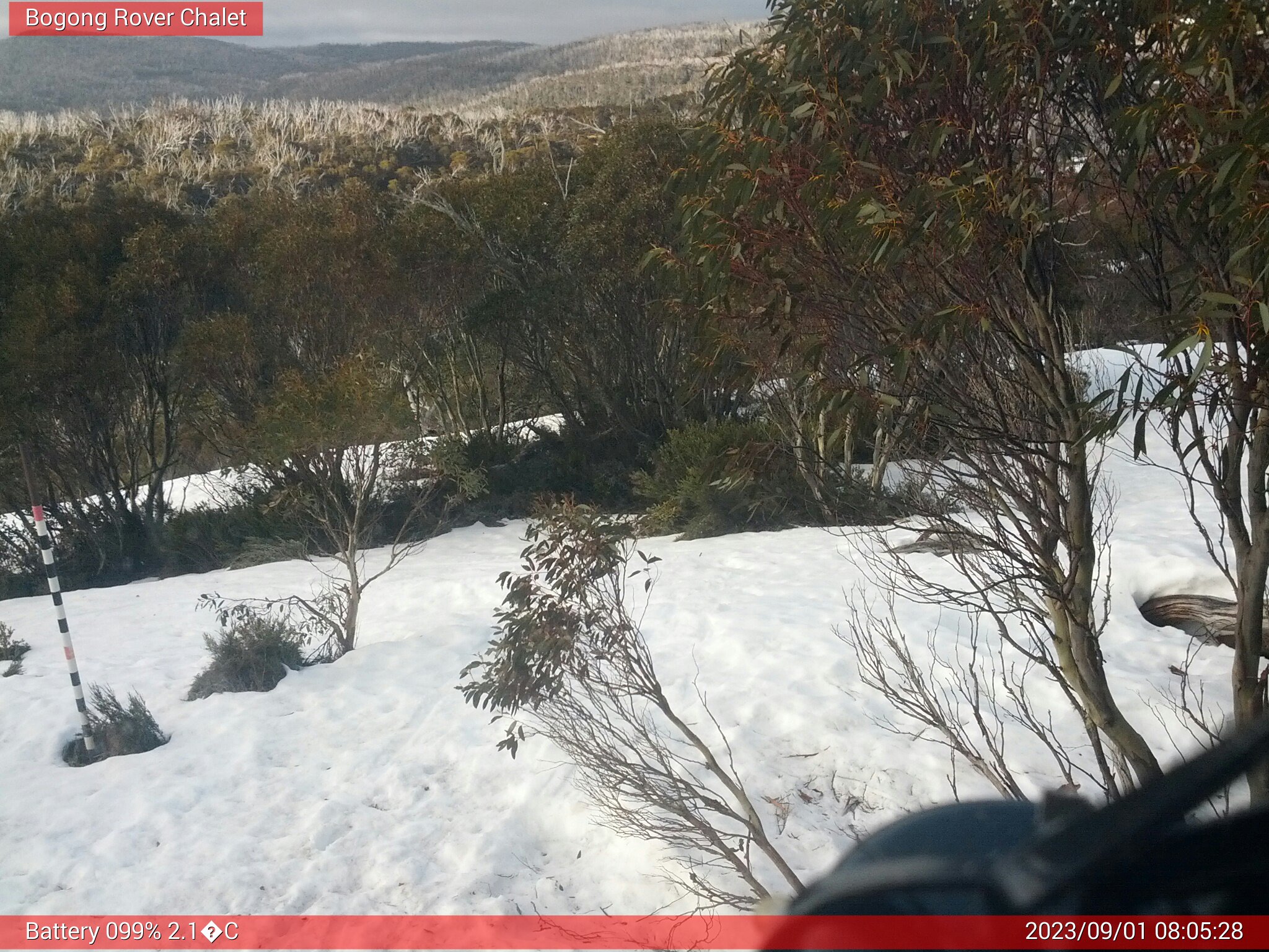 Bogong Web Cam 8:05am Friday 1st of September 2023