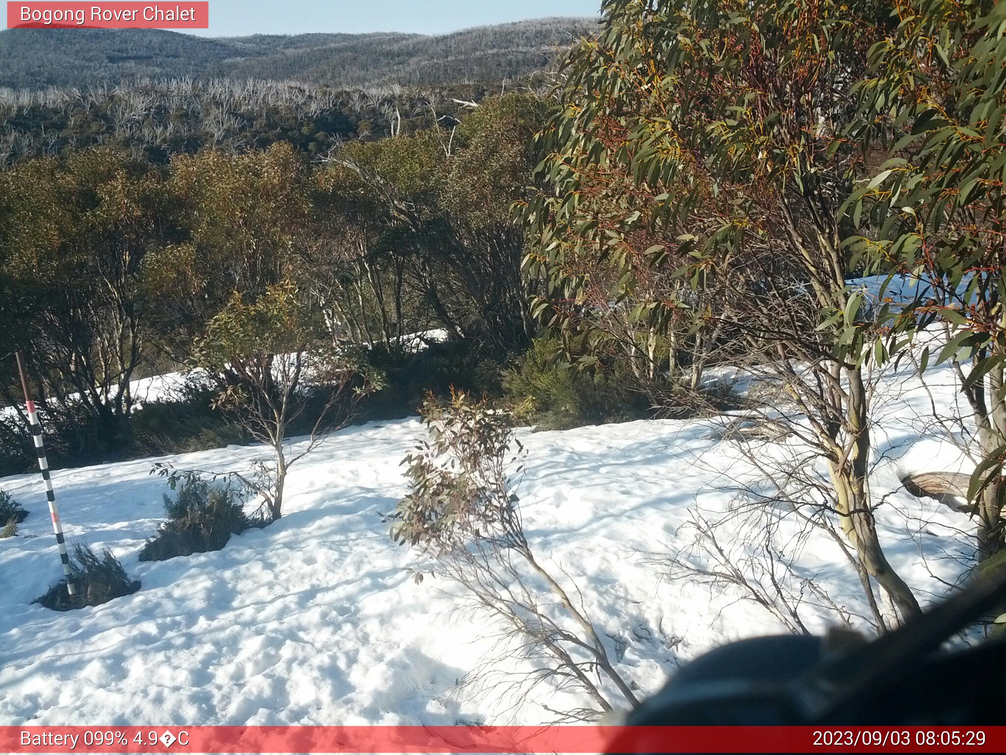 Bogong Web Cam 8:05am Sunday 3rd of September 2023