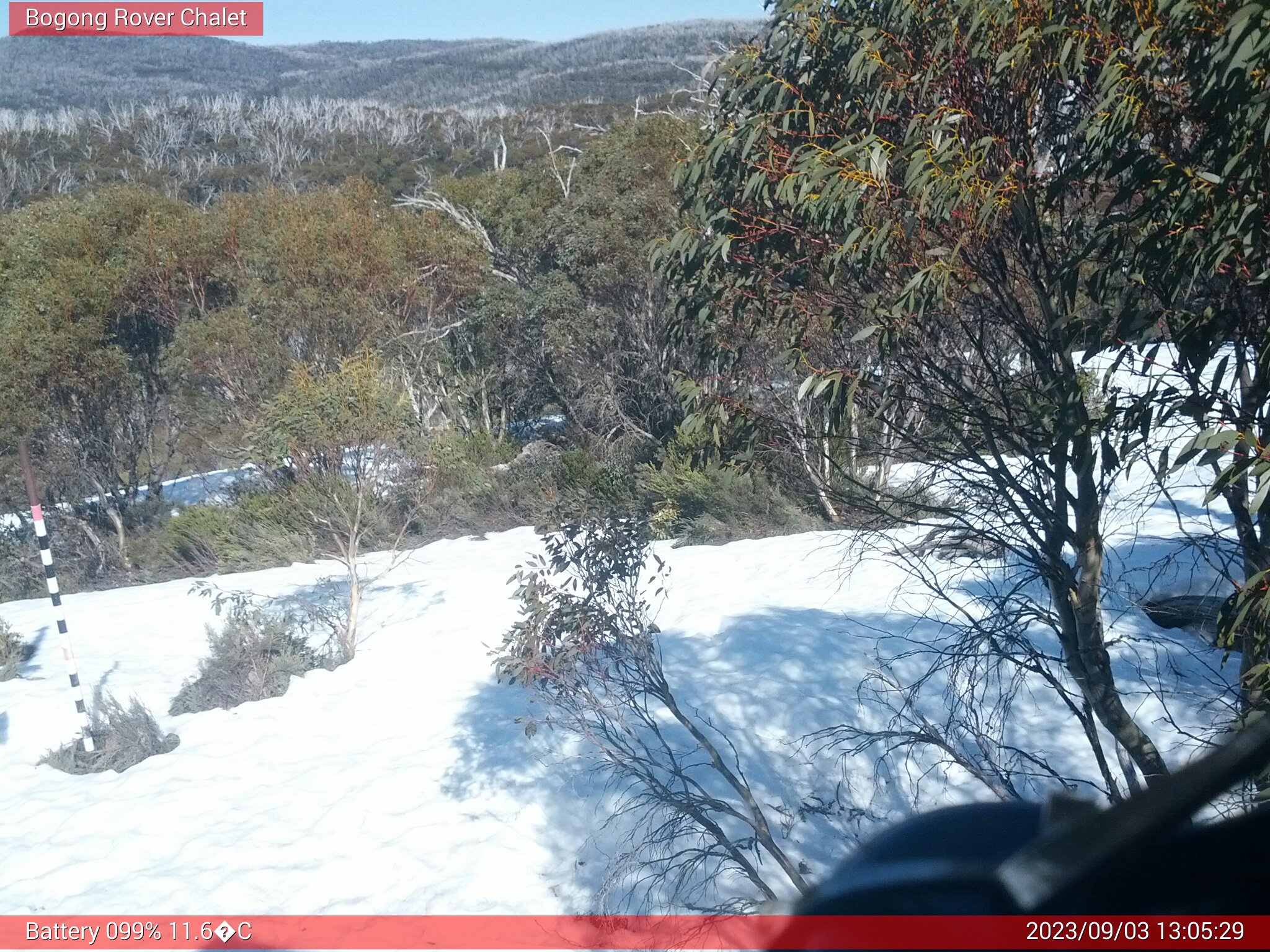 Bogong Web Cam 1:05pm Sunday 3rd of September 2023