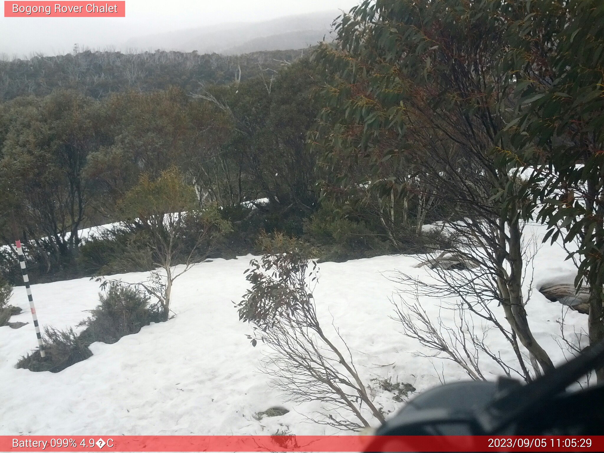 Bogong Web Cam 11:05am Tuesday 5th of September 2023