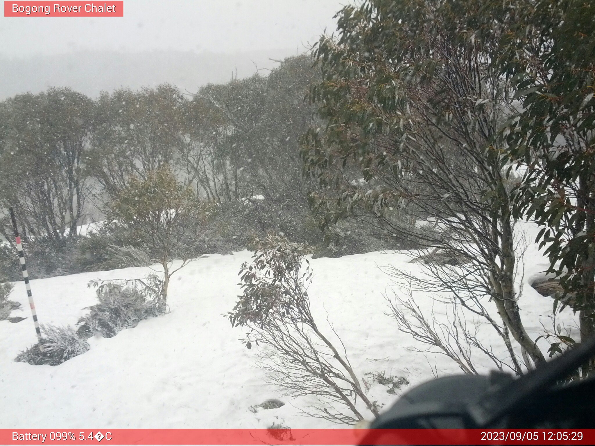 Bogong Web Cam 12:05pm Tuesday 5th of September 2023