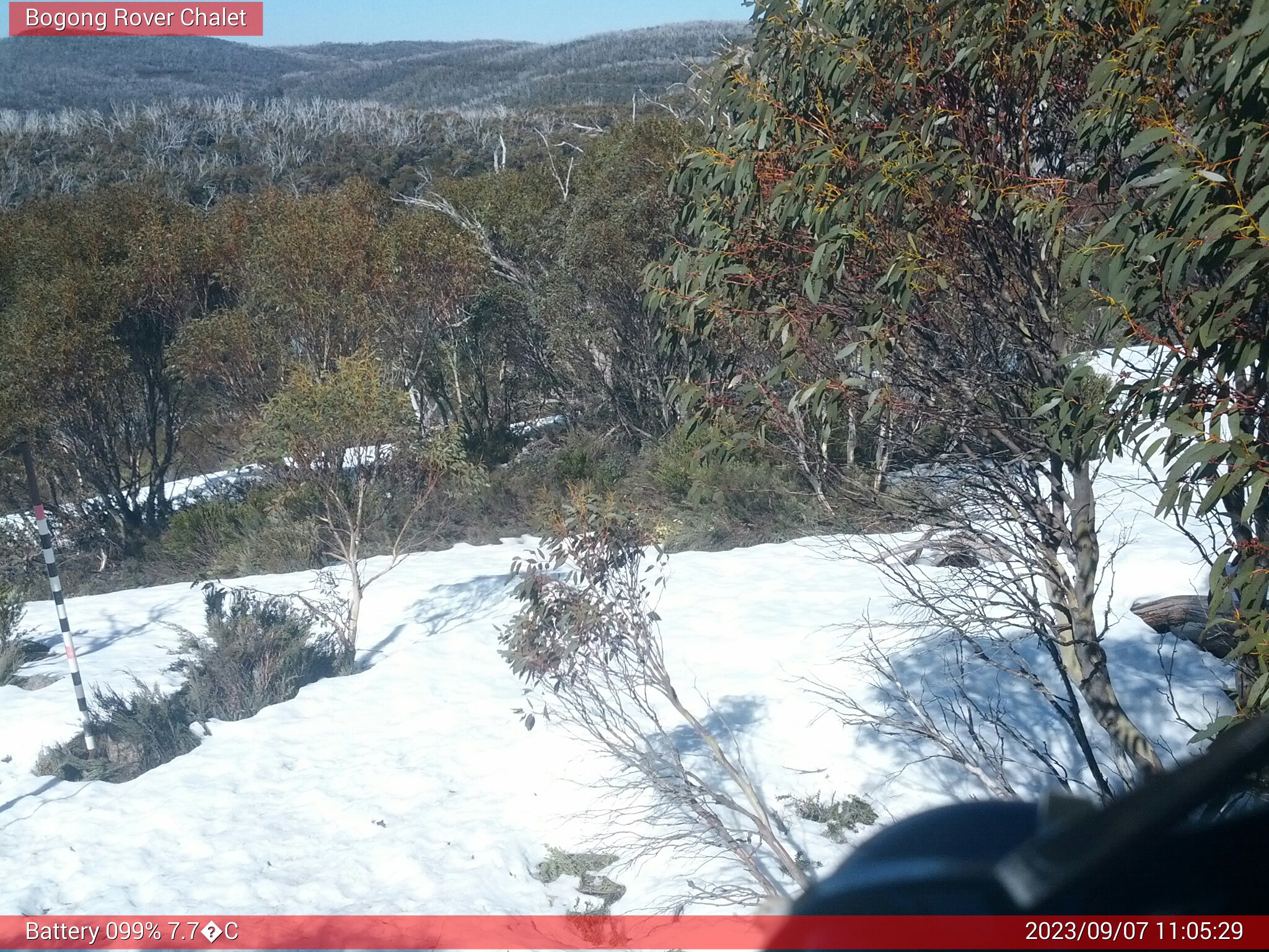 Bogong Web Cam 11:05am Thursday 7th of September 2023