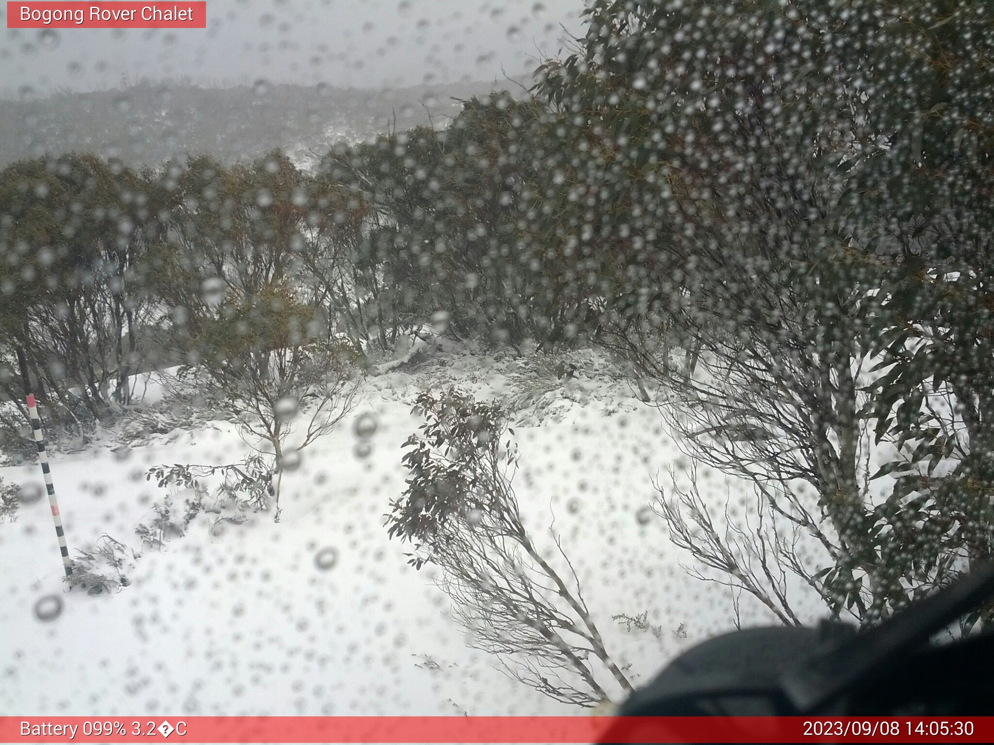 Bogong Web Cam 2:05pm Friday 8th of September 2023