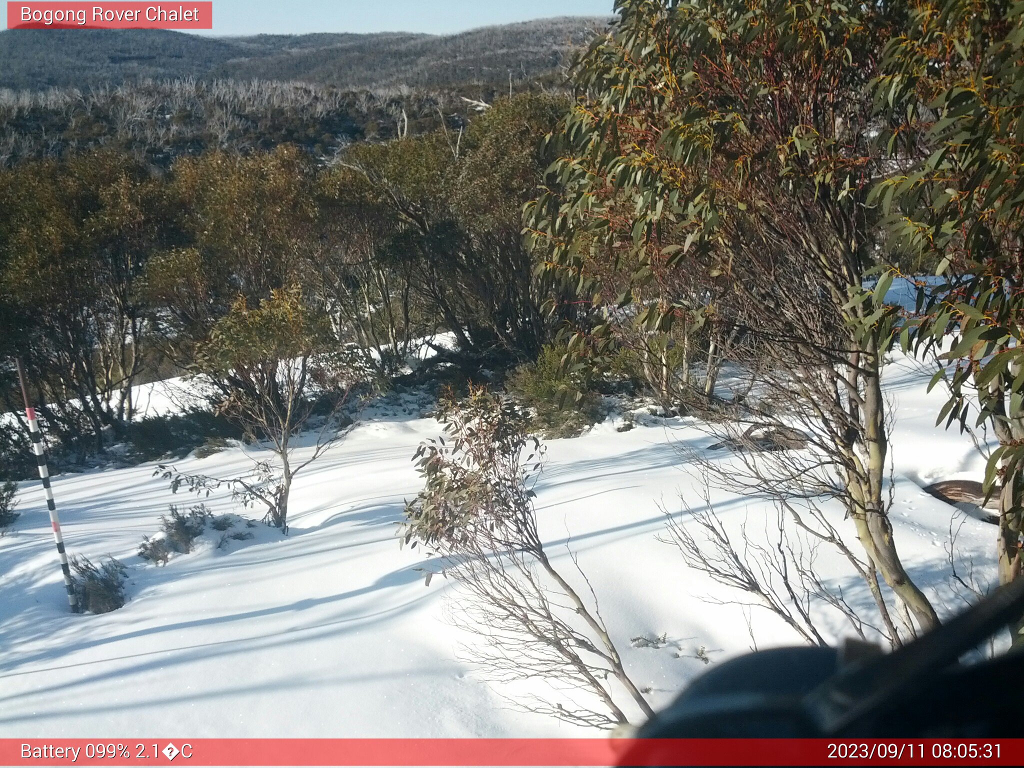 Bogong Web Cam 8:05am Monday 11th of September 2023