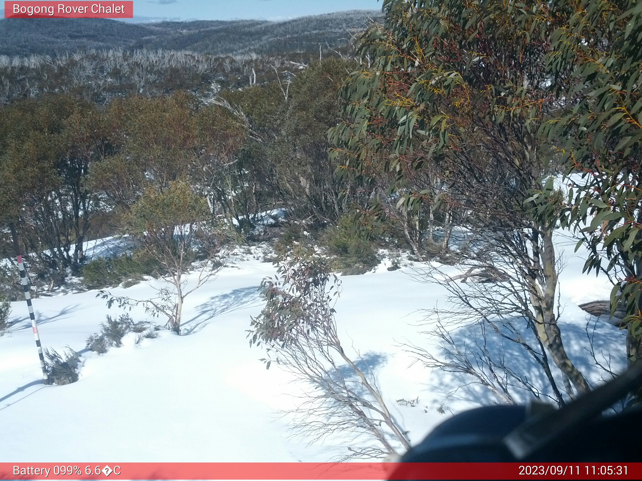 Bogong Web Cam 11:05am Monday 11th of September 2023