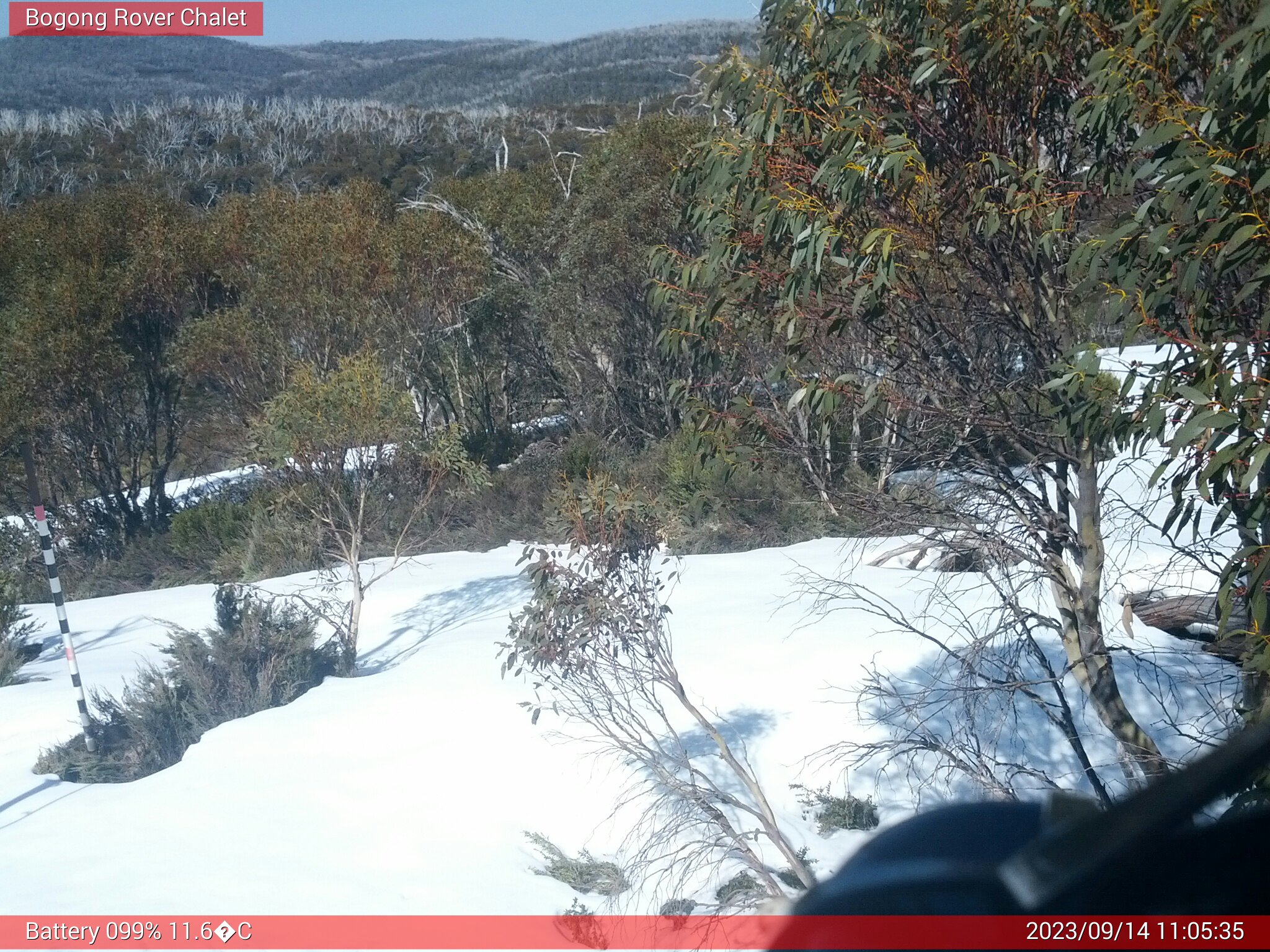 Bogong Web Cam 11:05am Thursday 14th of September 2023